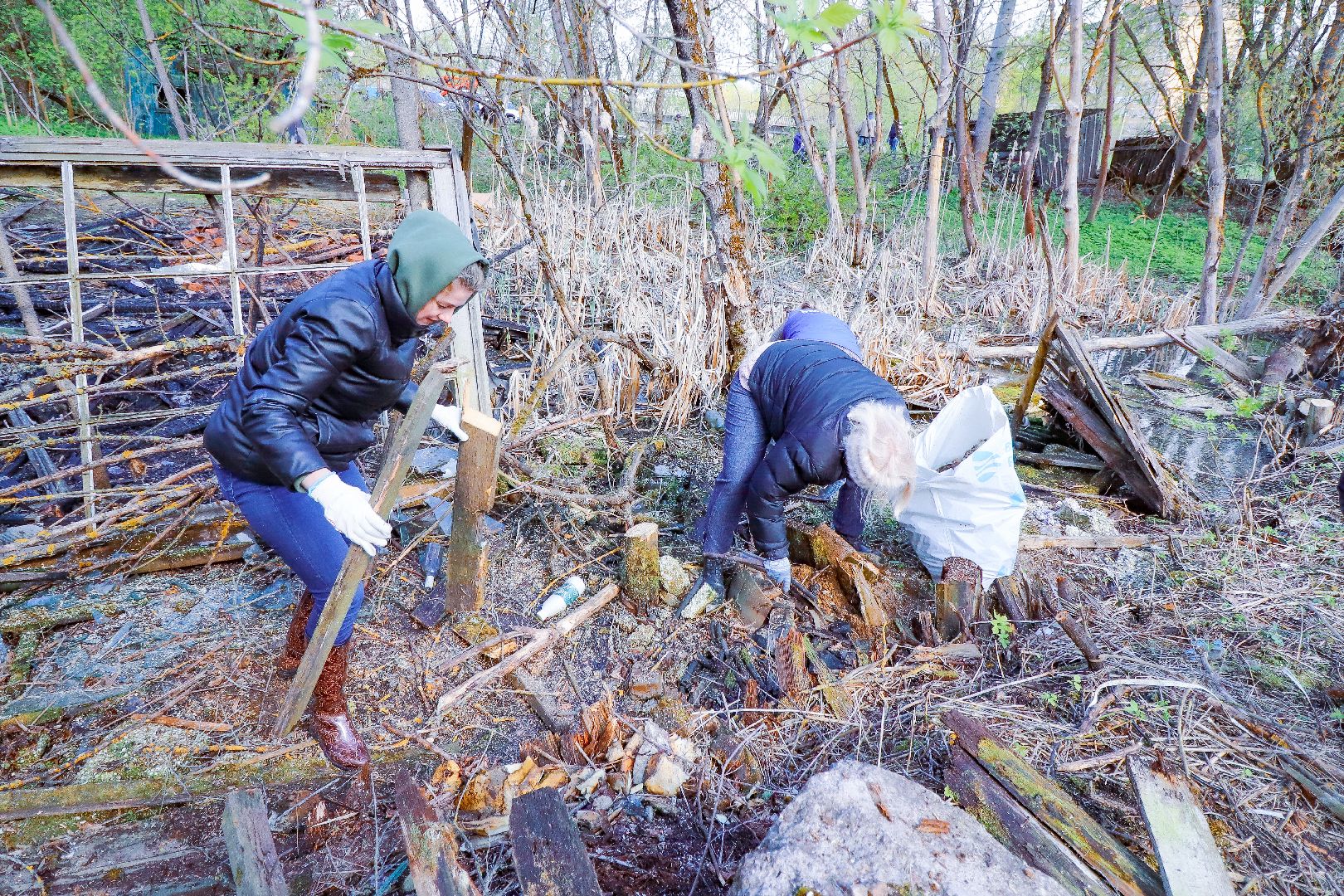 клин, общество, субботник, экология,