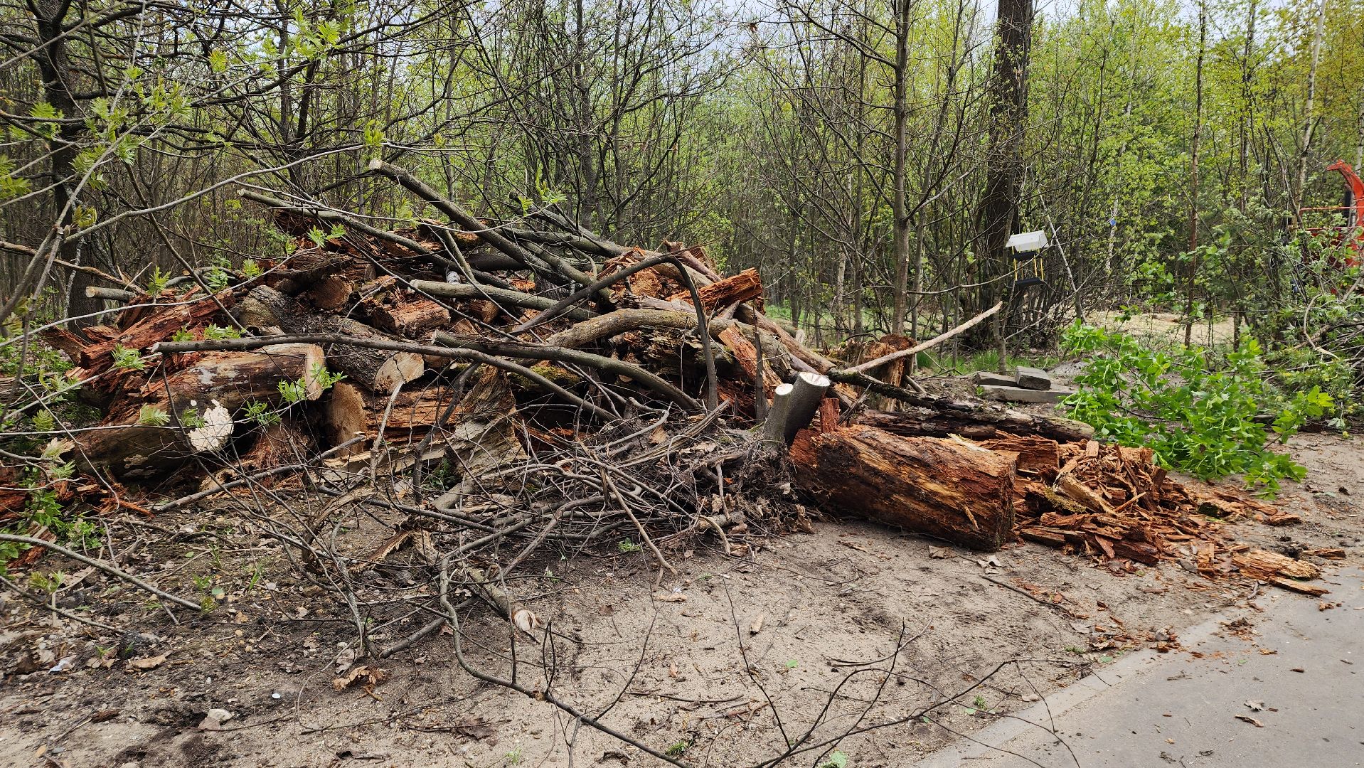 субботник, экология, лосино-петровский,