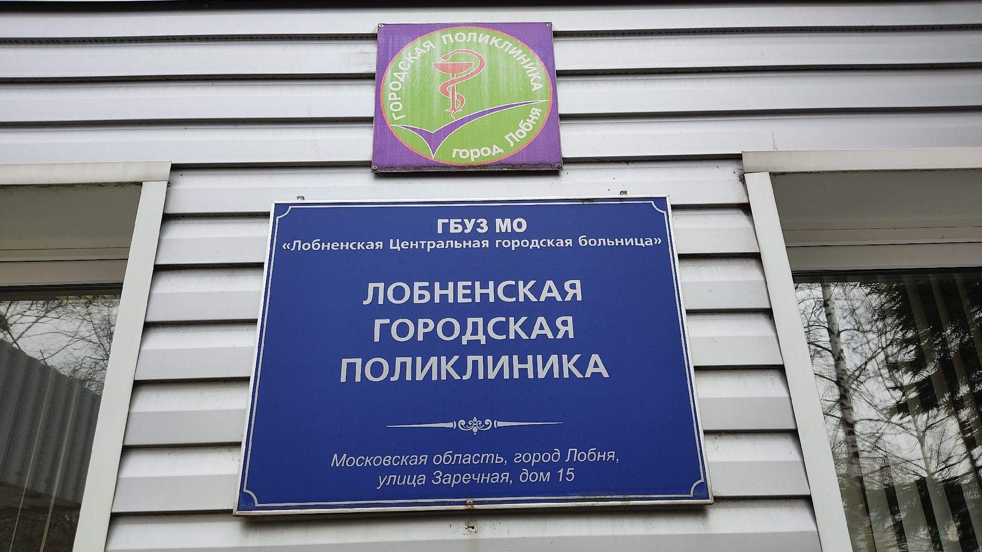 Лобня, медицина, аллергия