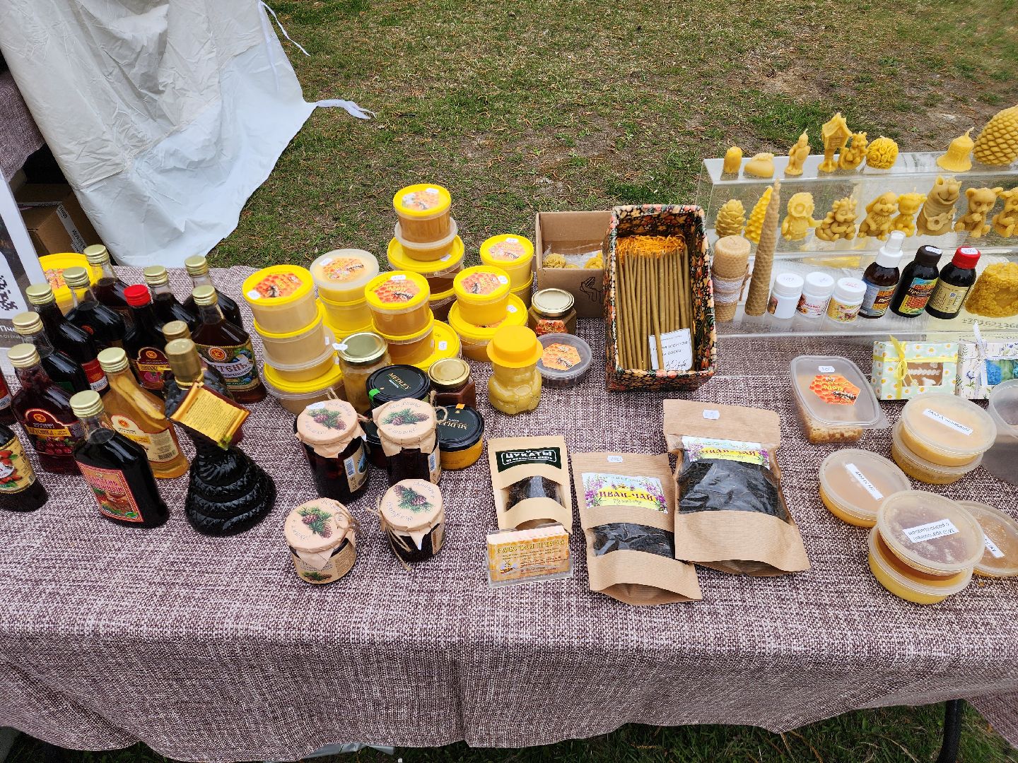 ярмарка вакансий, ярмарка мастеров, шатурский парк, шатура,