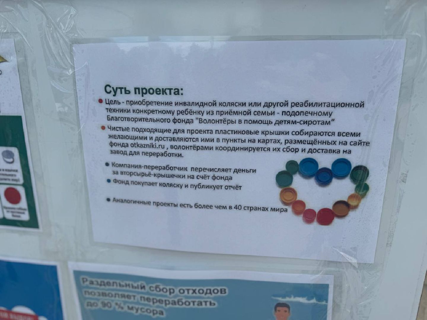 экология, сбор мусора, пестовский парк,