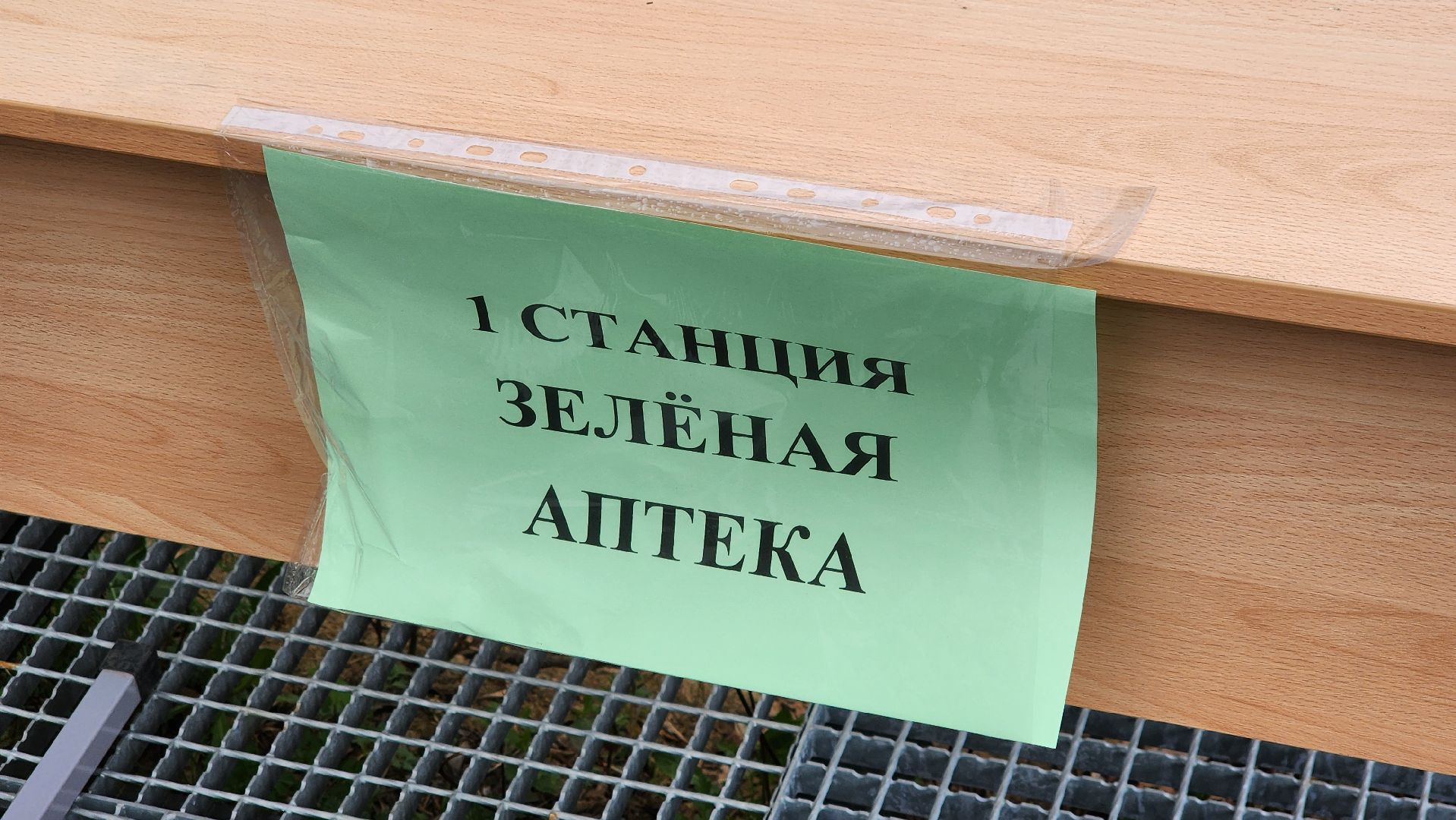 экоакция, Экологический десант, Щелково,