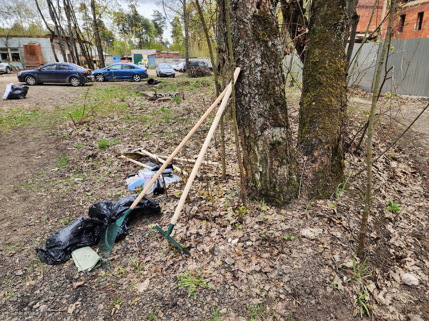 красноармейск, городской округ пушкинский, субботник, инициатива жителей,