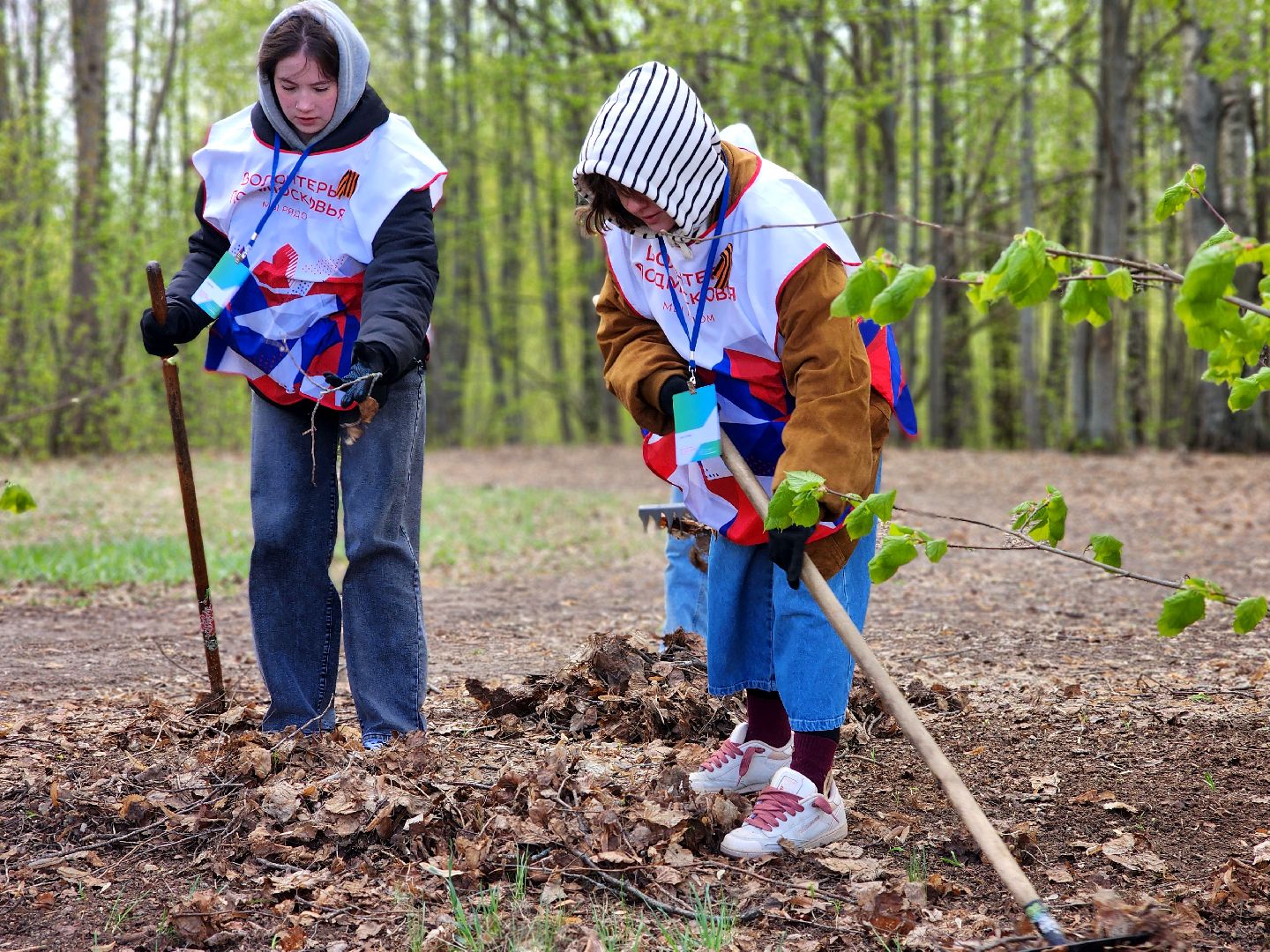 дубна, всероссийский субботник, волонтеры подмосковья, совет депутатов, уборка, иваньковское водохранилище,