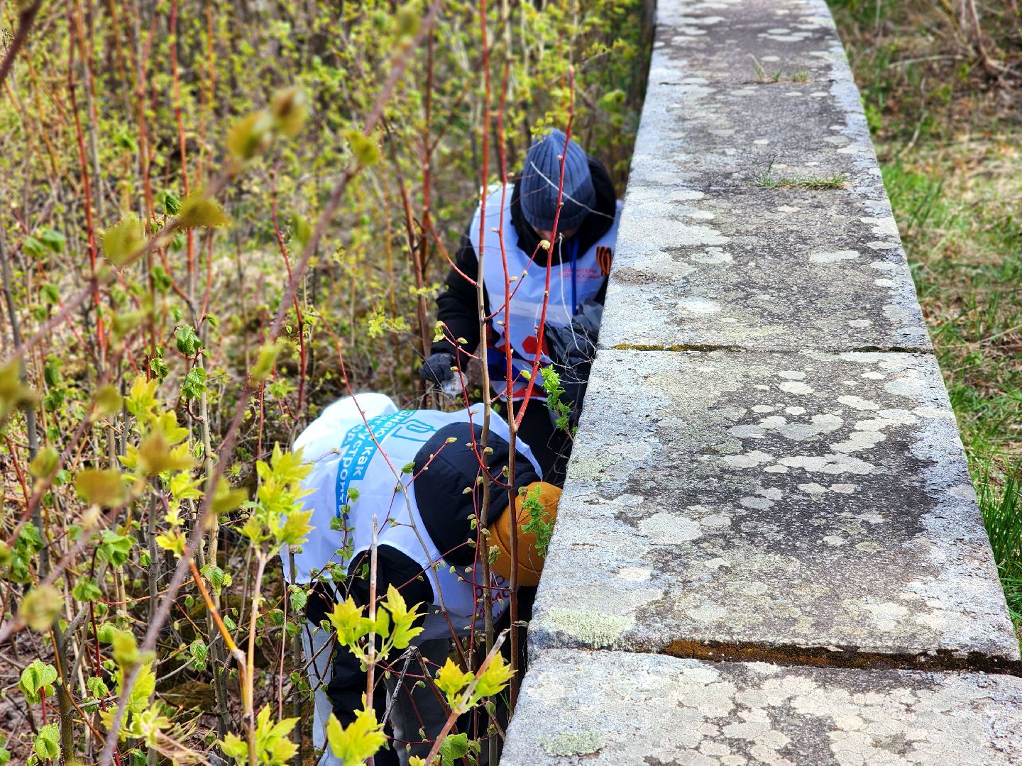 дубна, всероссийский субботник, волонтеры подмосковья, совет депутатов, уборка, иваньковское водохранилище,