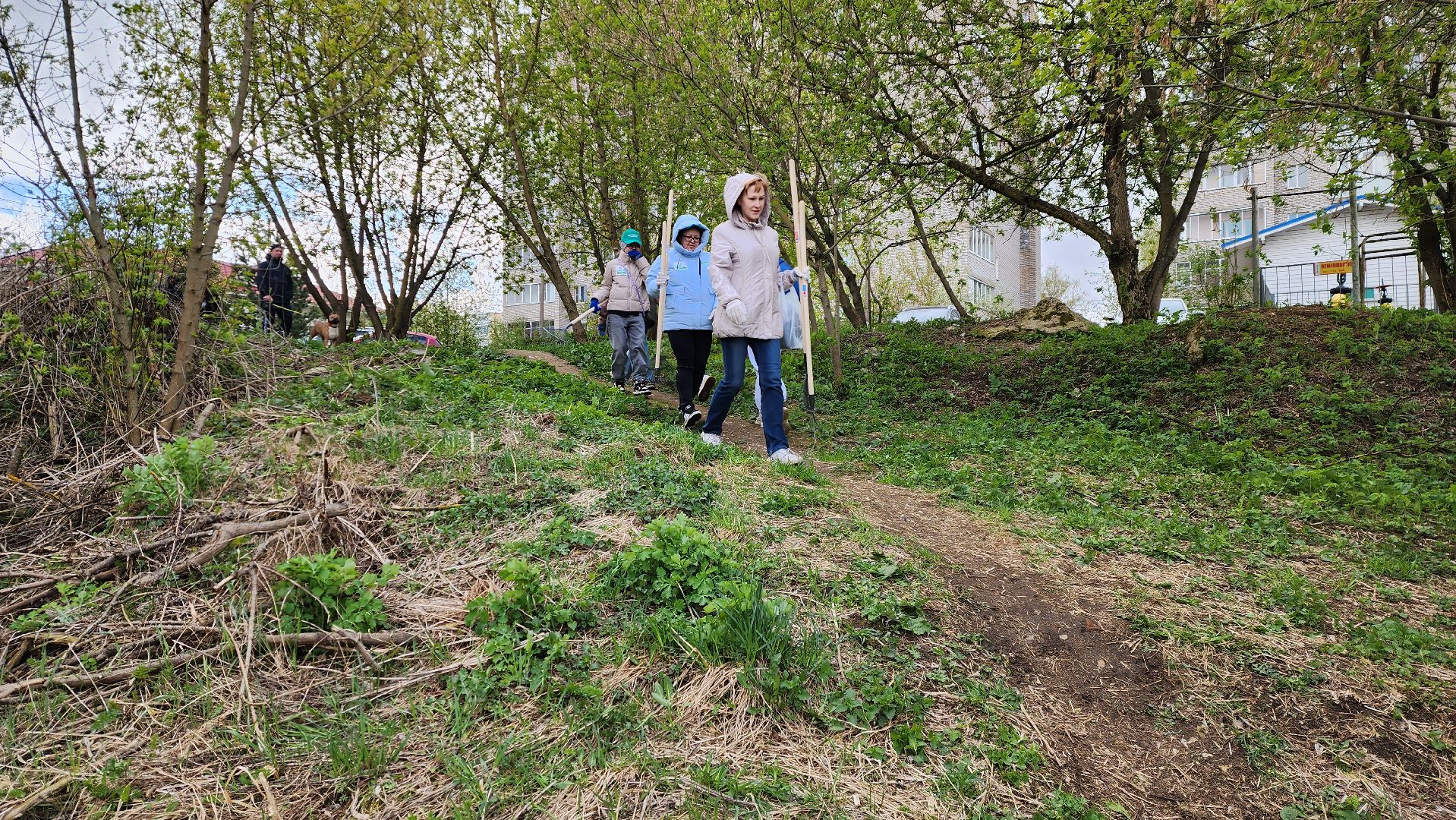 истра, субботник, общество,