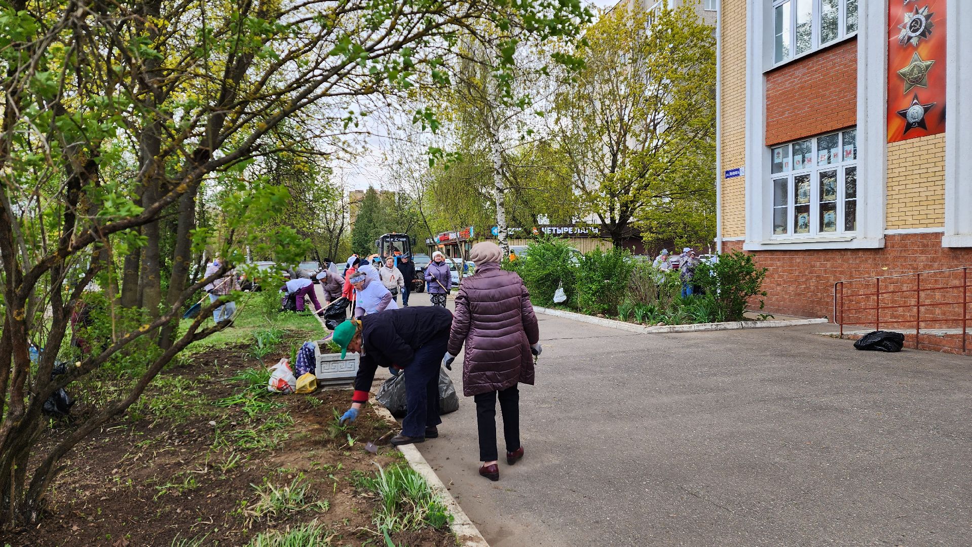 истра, субботник, общество,