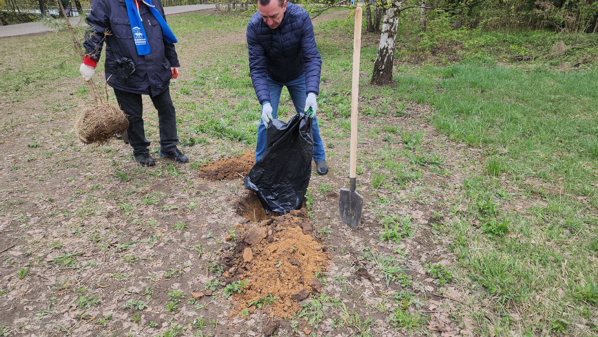 посадка кедров, Высадка сосен, щёлково, чкаловское озеро,