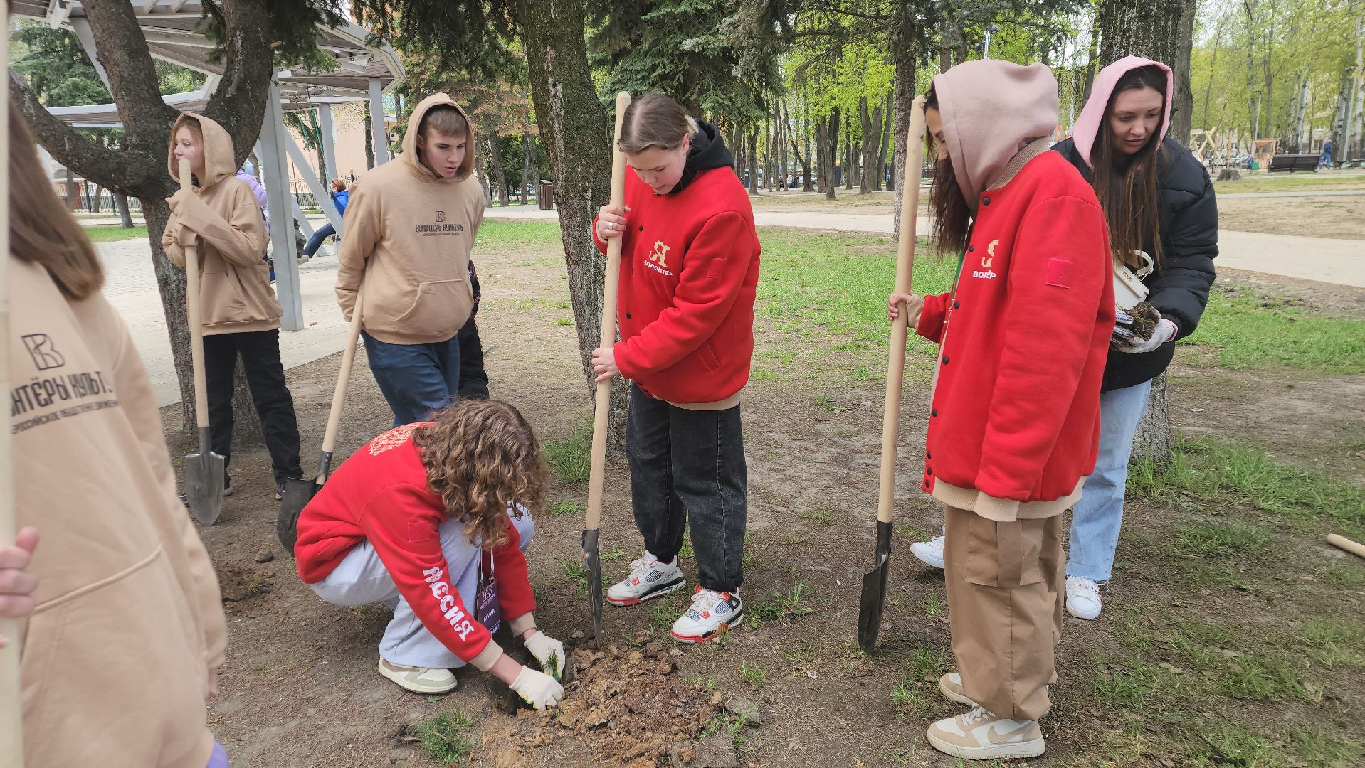 пушкино, субботник, волонтеры, волонтеры подмосковья, высадка деревьев,вертикалки,