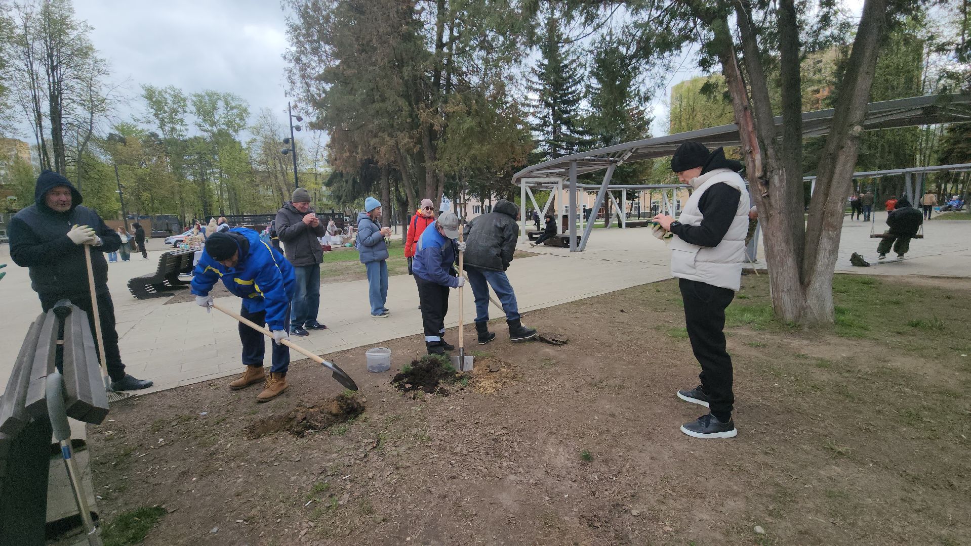 пушкино, субботник, волонтеры, волонтеры подмосковья, высадка деревьев,вертикалки,