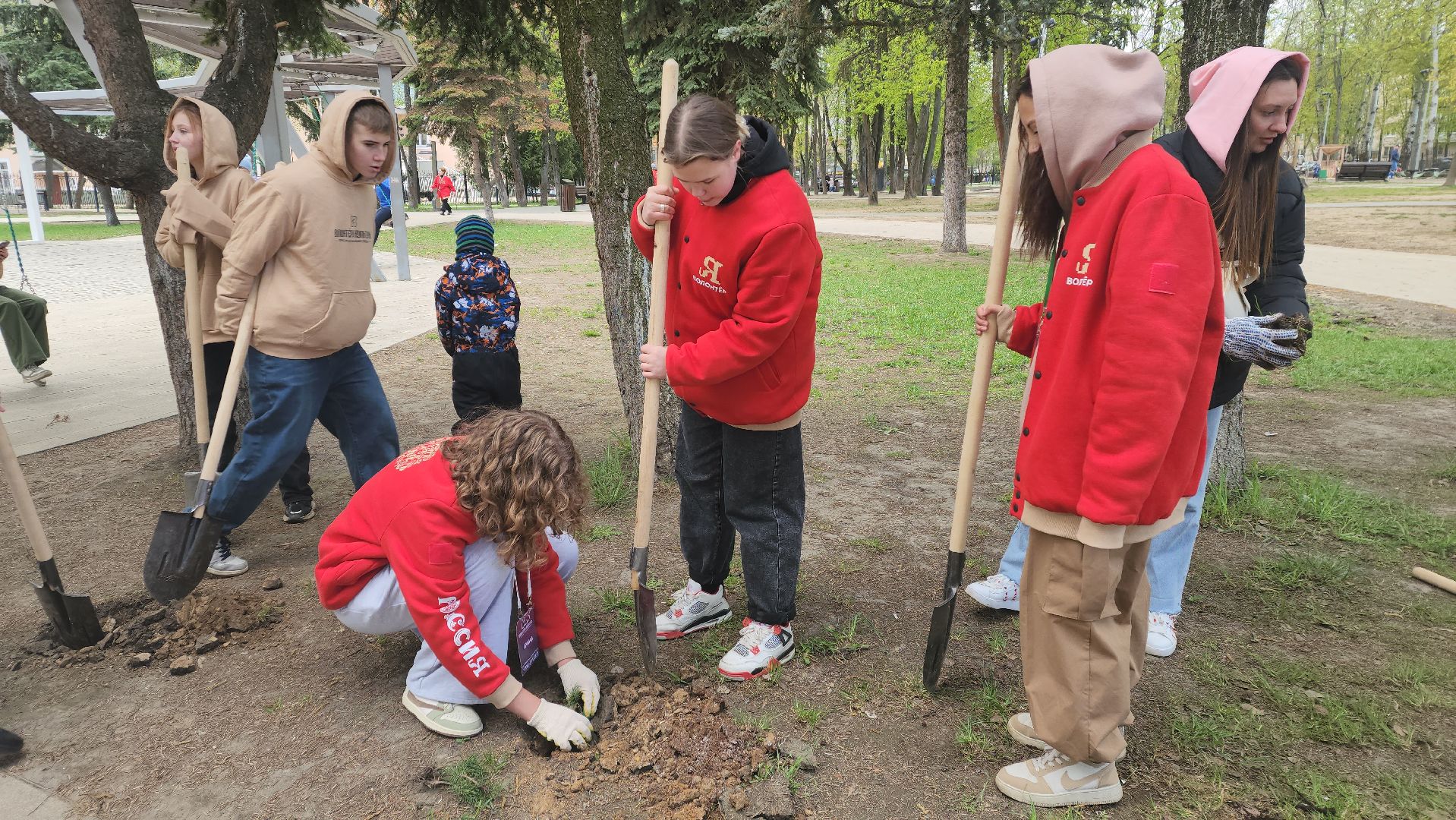 пушкино, субботник, волонтеры, волонтеры подмосковья, высадка деревьев,вертикалки,