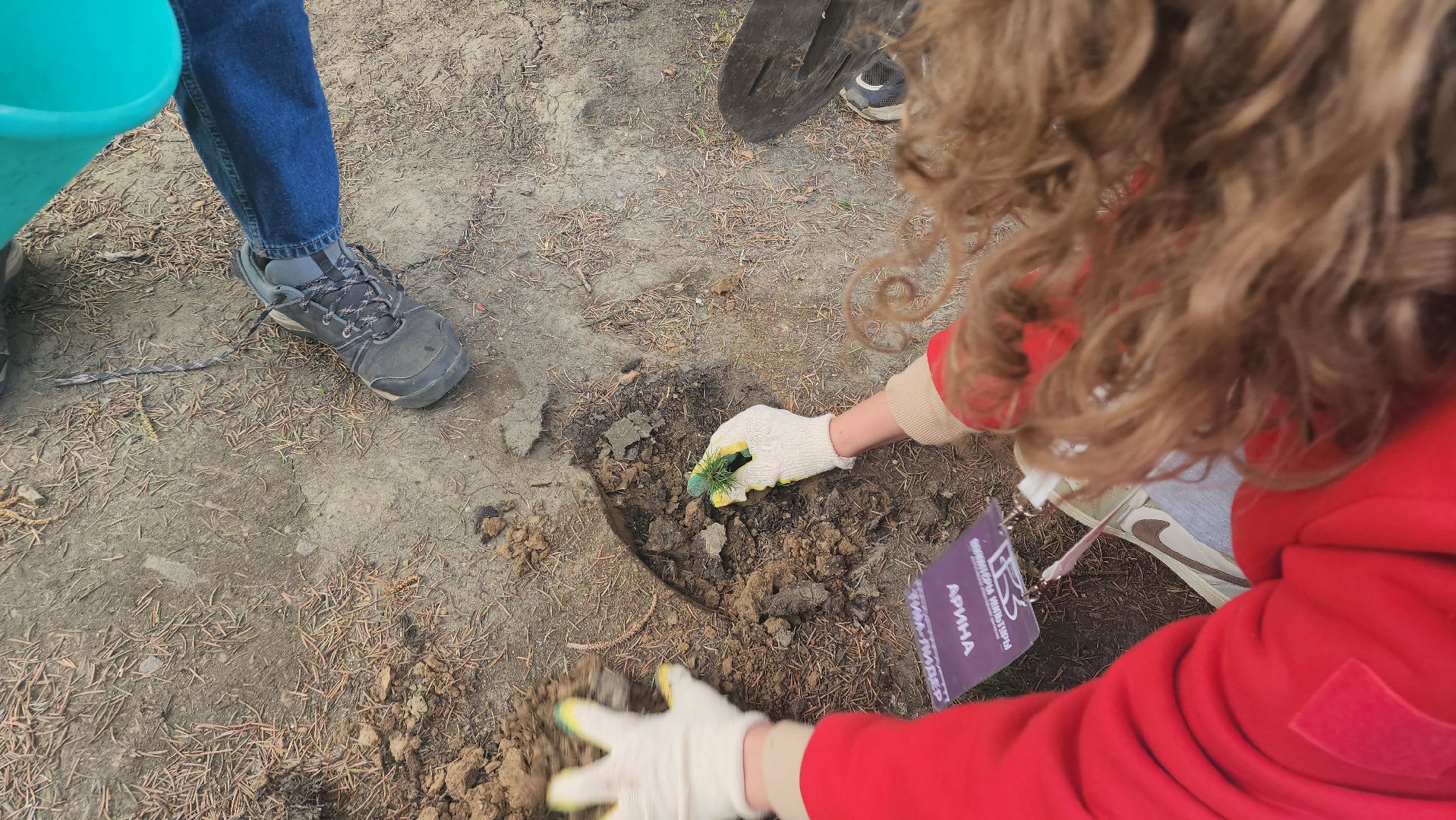 пушкино, субботник, волонтеры, волонтеры подмосковья, высадка деревьев,вертикалки,