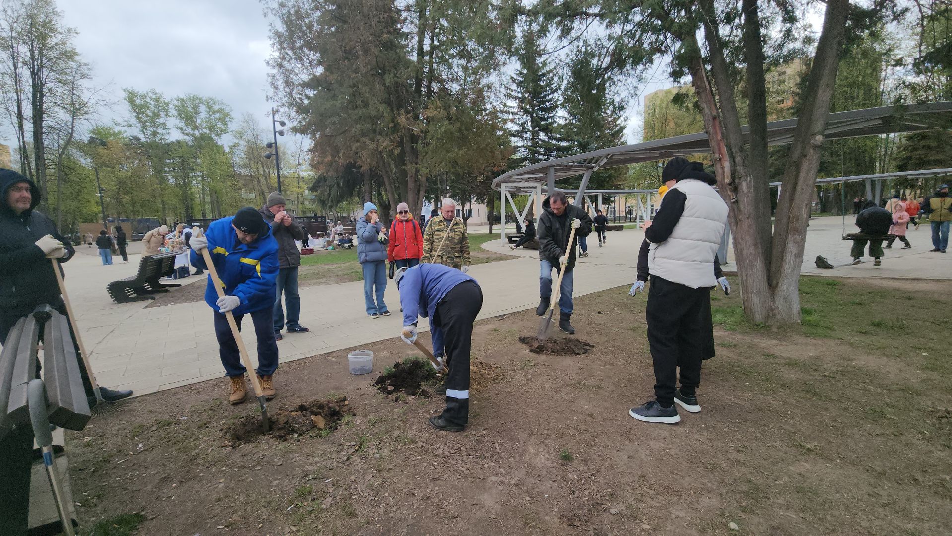 пушкино, субботник, волонтеры, волонтеры подмосковья, высадка деревьев,вертикалки,