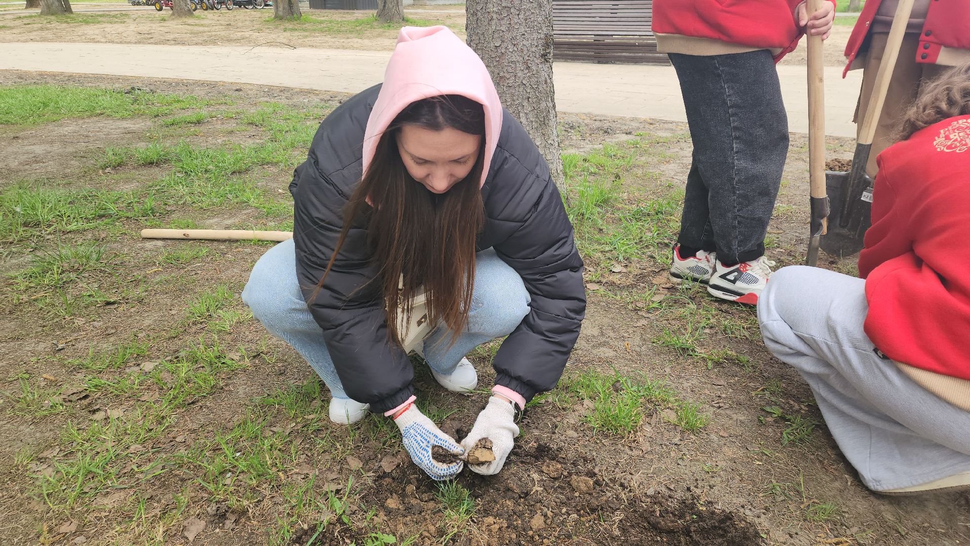 пушкино, субботник, волонтеры, волонтеры подмосковья, высадка деревьев,вертикалки,