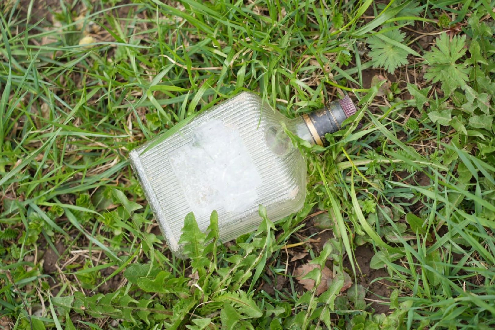 субботник,  эко марафон, сергиево-посадский городской округ, сергиев посад, общеобластной субботник, благоустройство,