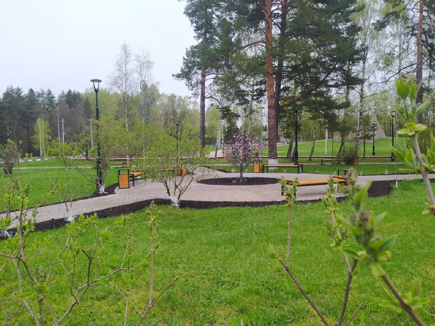 Снегири, Музей, Дерево любви, благоустройство