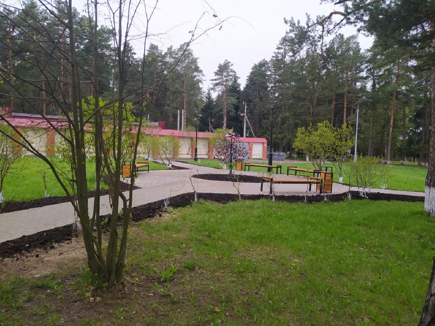 Снегири, Музей, Дерево любви, благоустройство