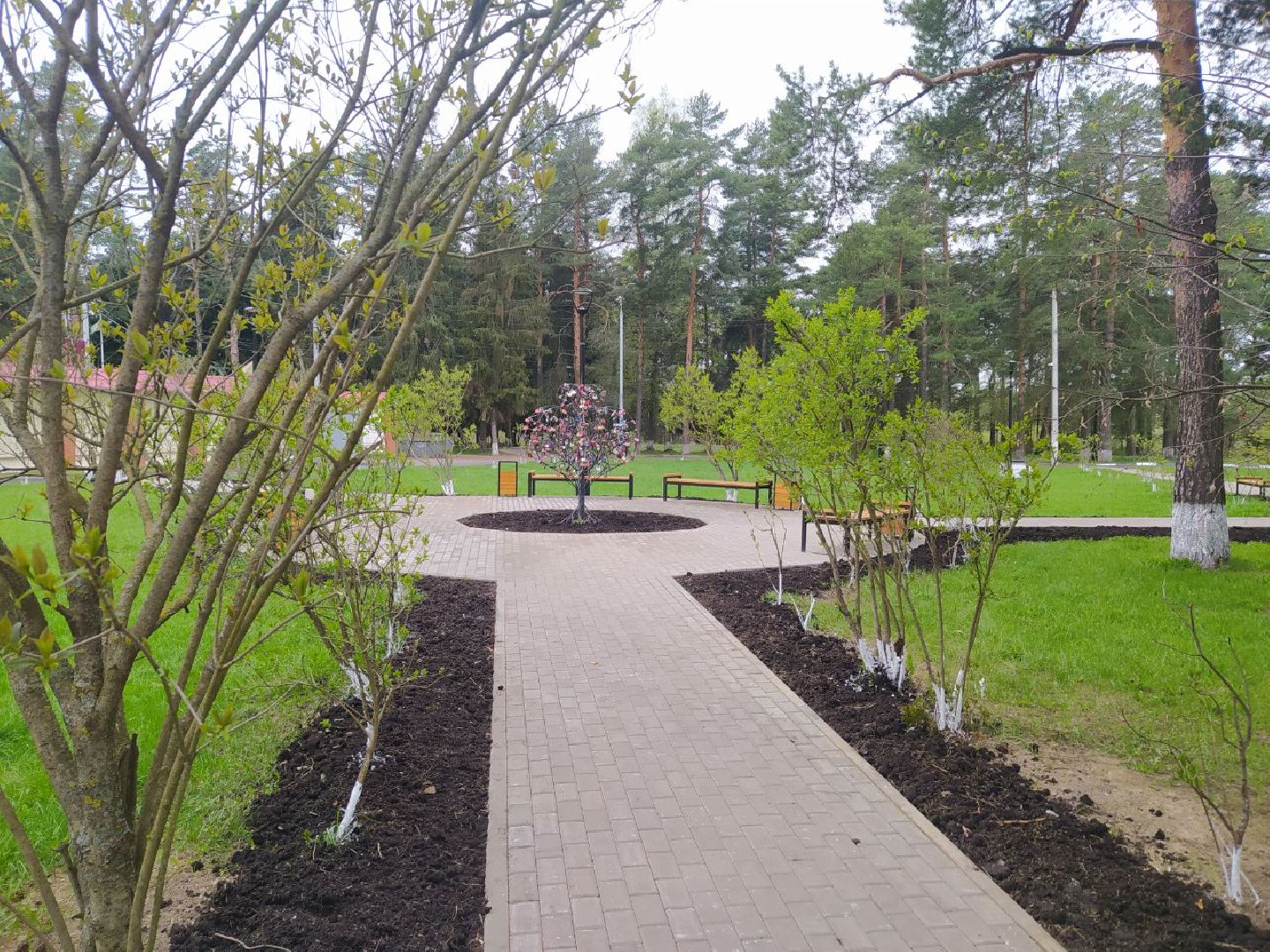 Снегири, Музей, Дерево любви, благоустройство