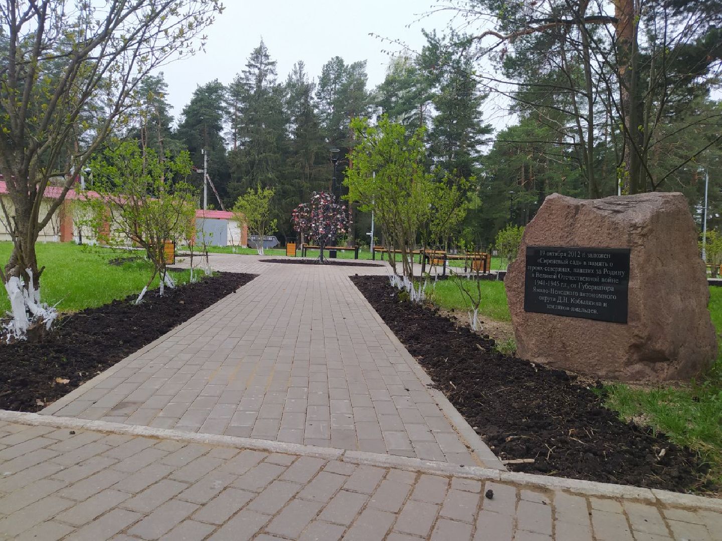 Снегири, Музей, Дерево любви, благоустройство