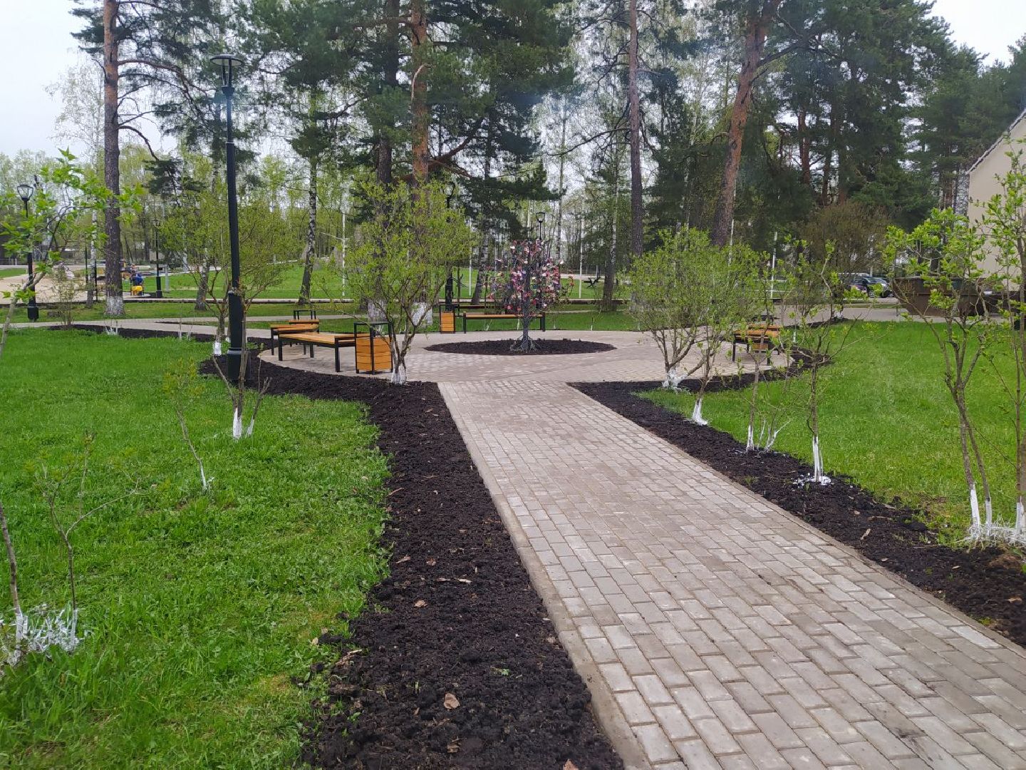 Снегири, Музей, Дерево любви, благоустройство