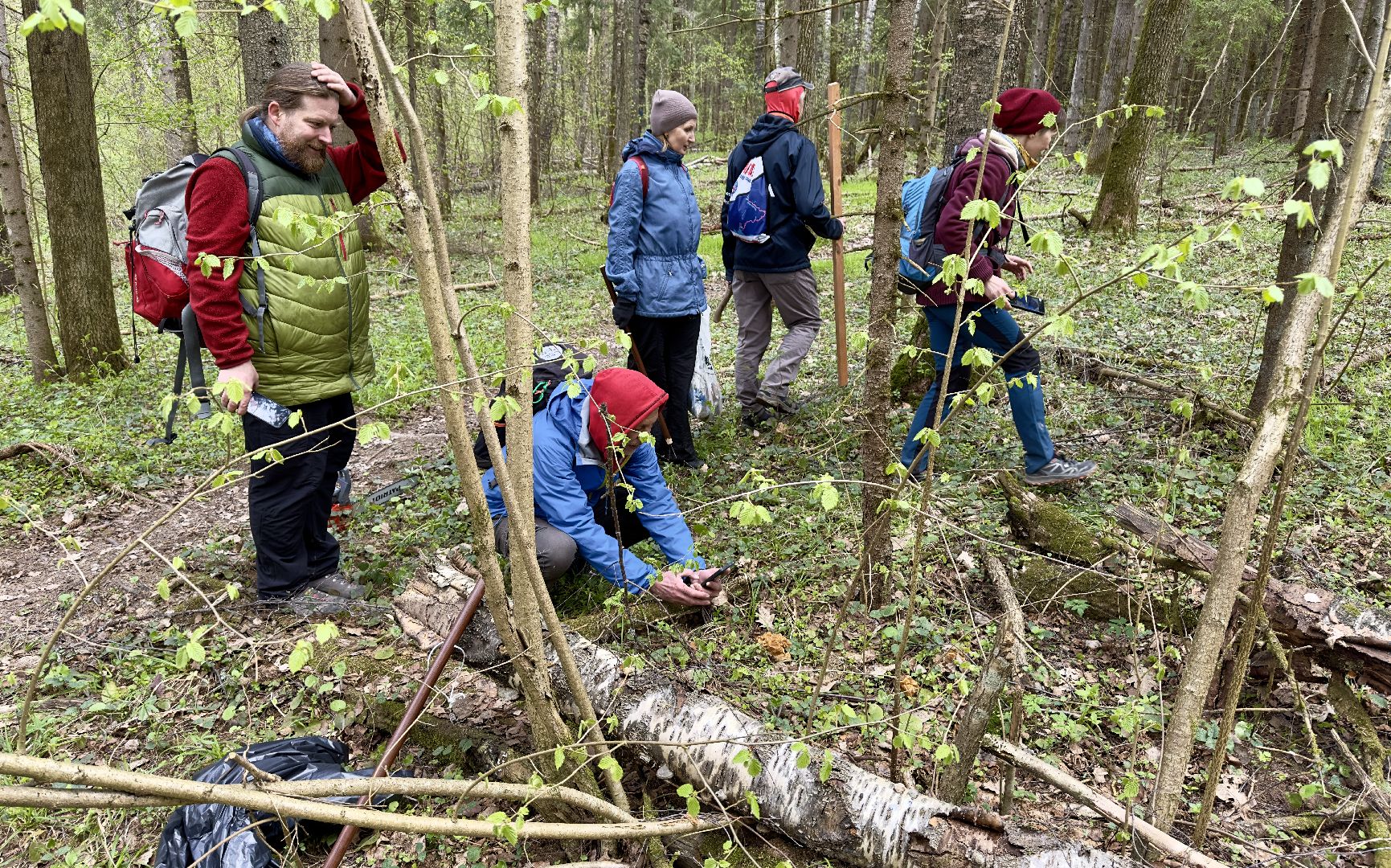 сергиево-посадский городской округ, дорога к лавре, Уборка, субботник, религия,