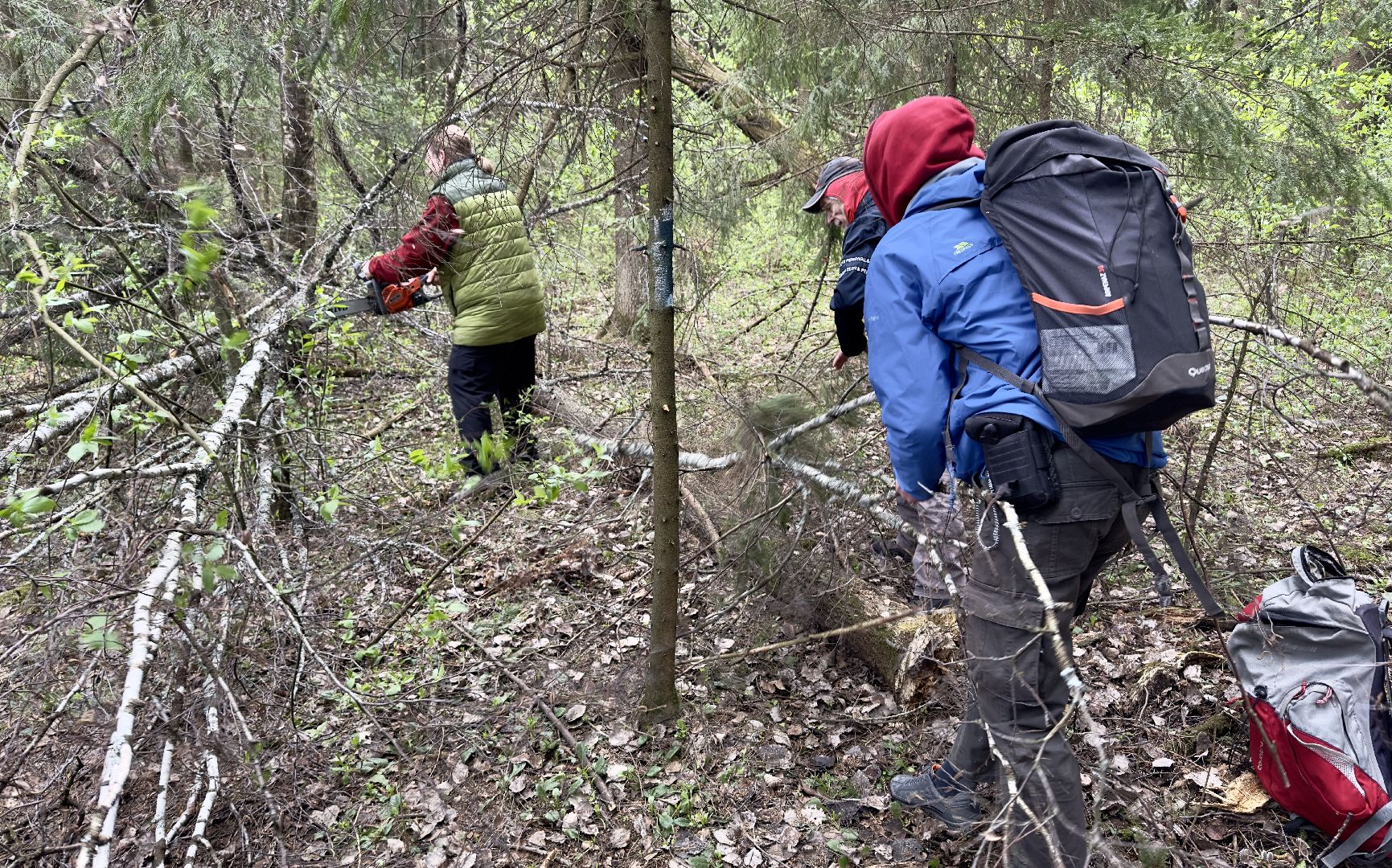 сергиево-посадский городской округ, дорога к лавре, Уборка, субботник, религия,
