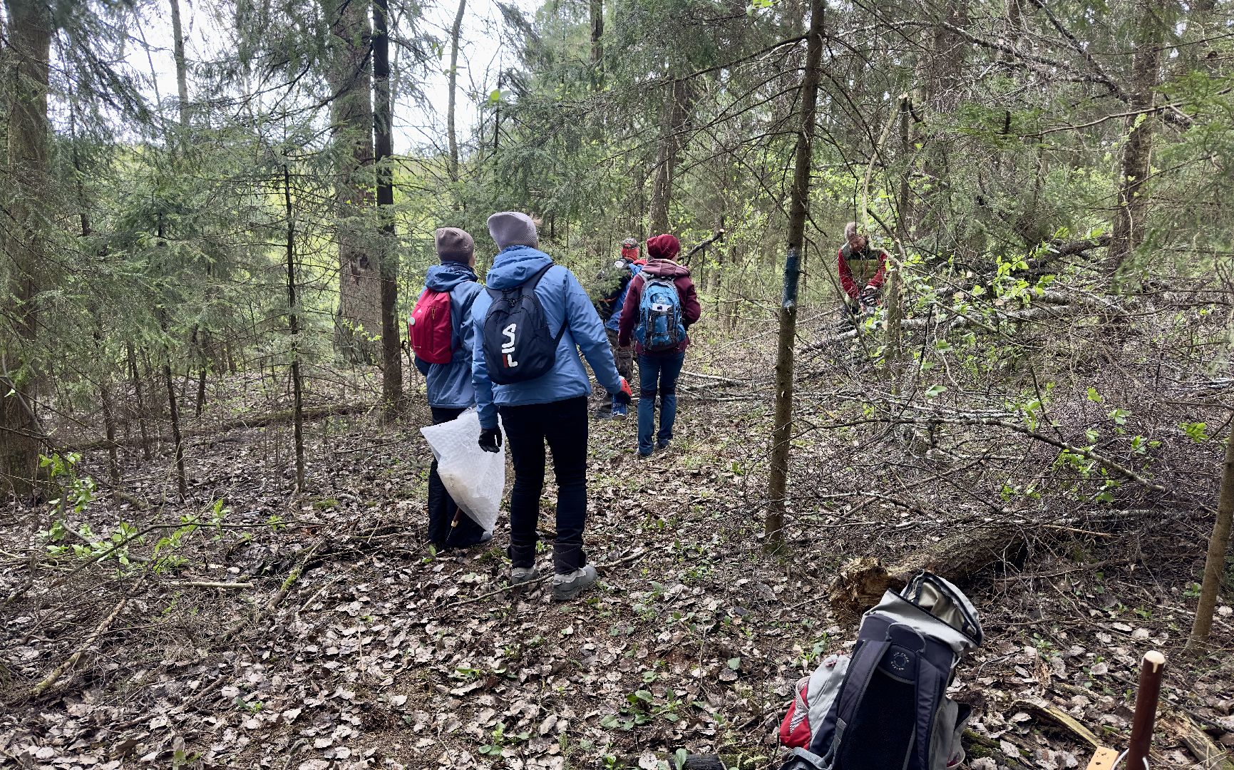 сергиево-посадский городской округ, дорога к лавре, Уборка, субботник, религия,