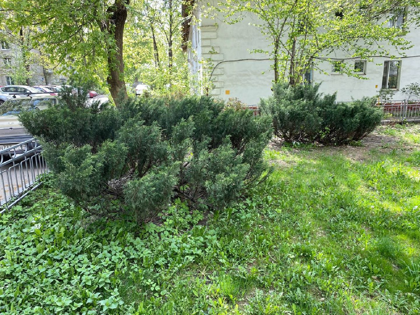 субботник, субботник в Красногорске,