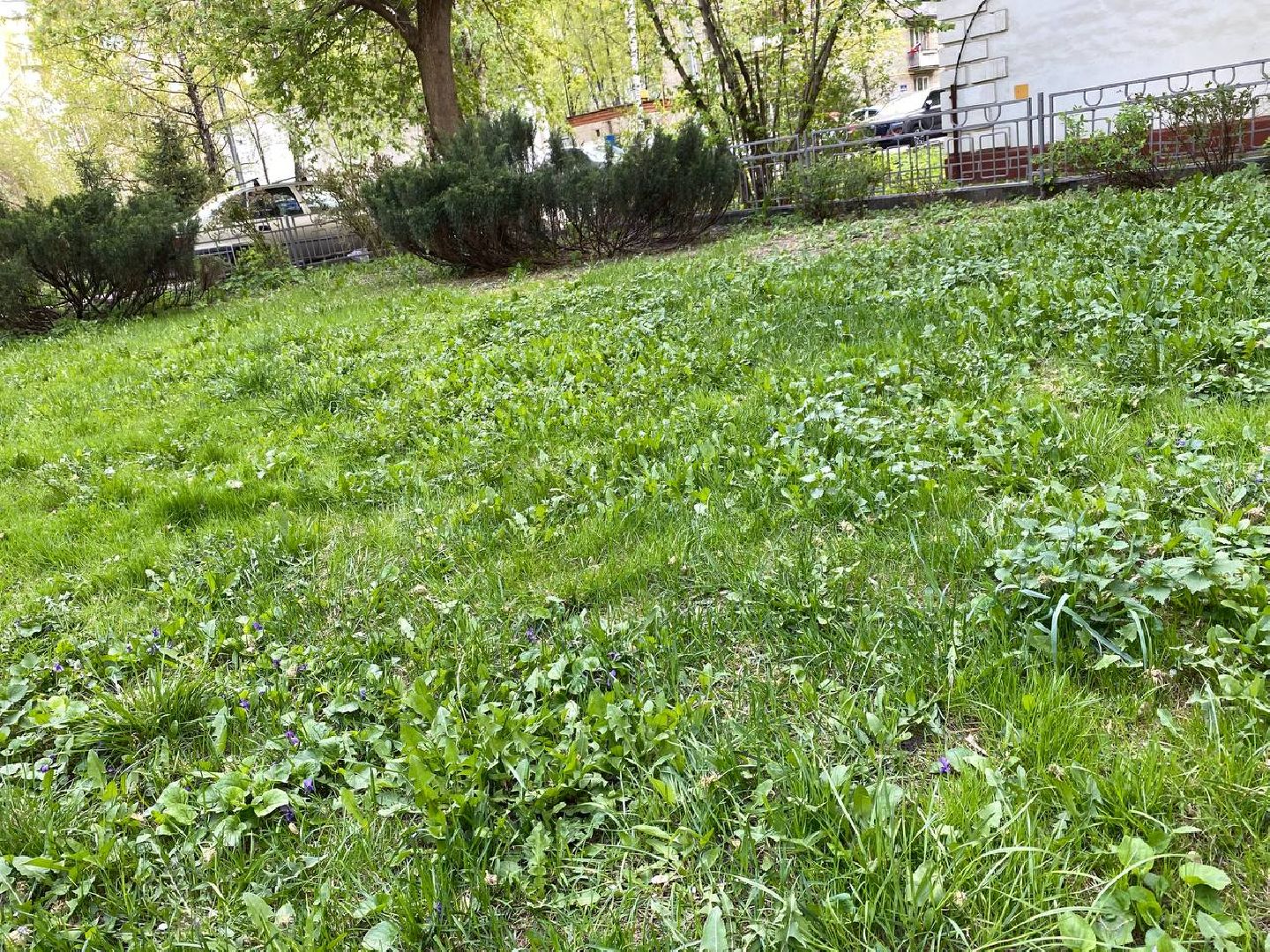 субботник, субботник в Красногорске,