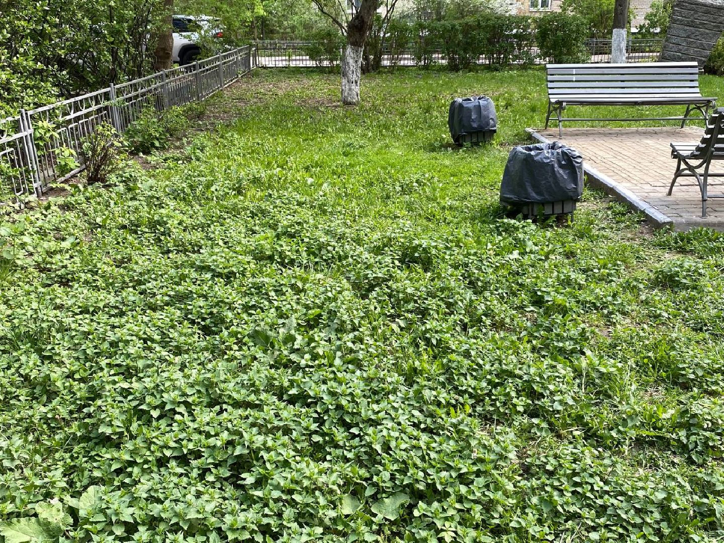 субботник, субботник в Красногорске,