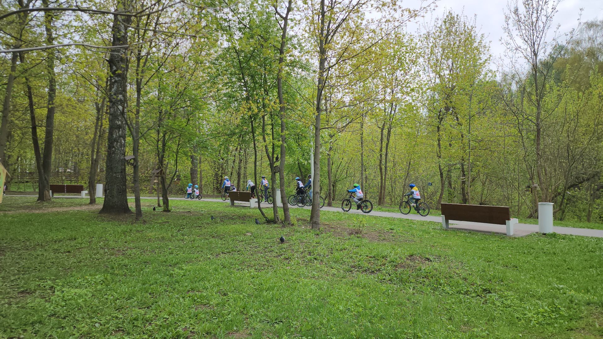 Парк, Спорт, Велосипеды, Истра,