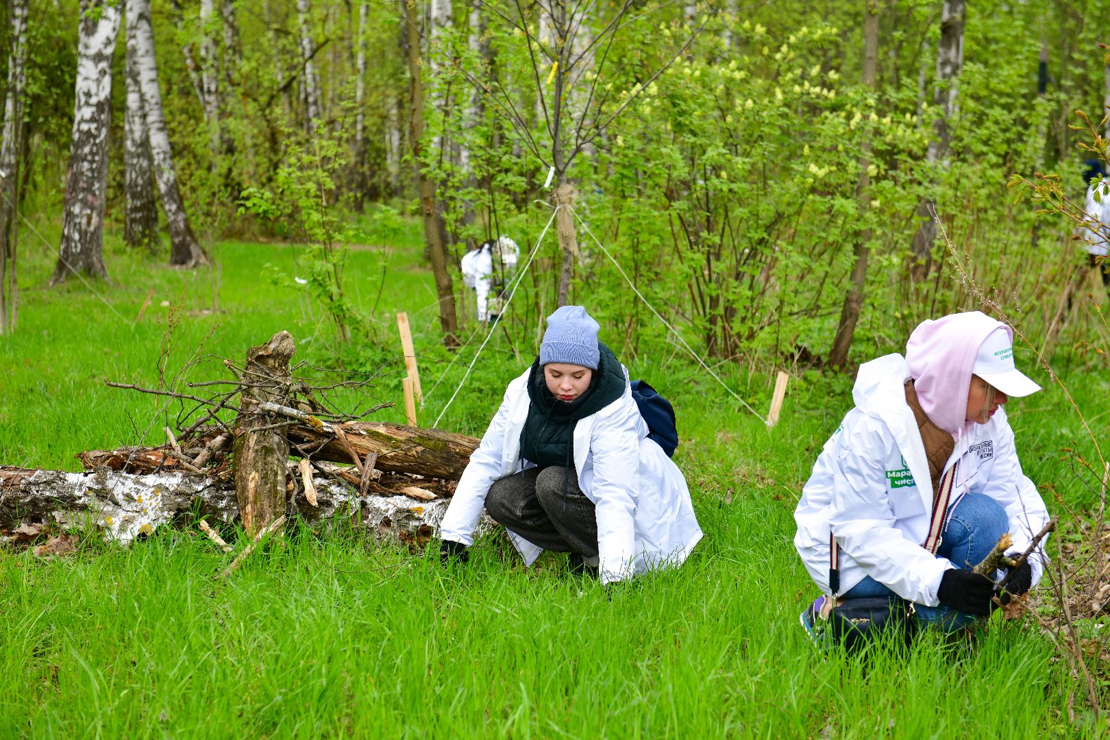 Акция, Экология, Уборка,