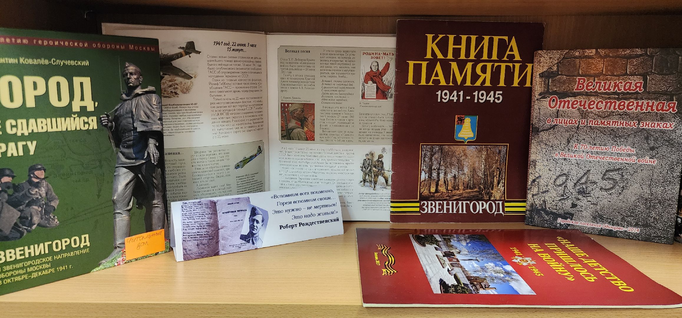 Звенигород, культура, библионочь, Акции ,