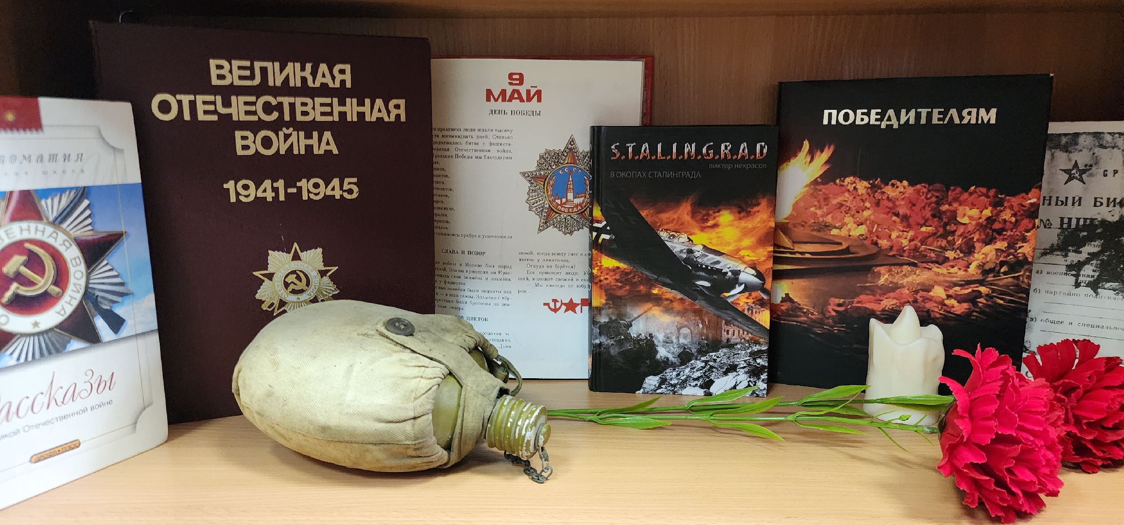 Звенигород, культура, библионочь, Акции ,