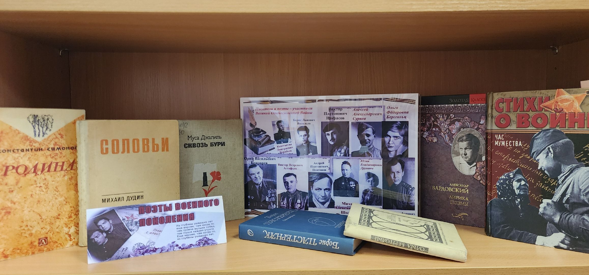 Звенигород, культура, библионочь, Акции ,