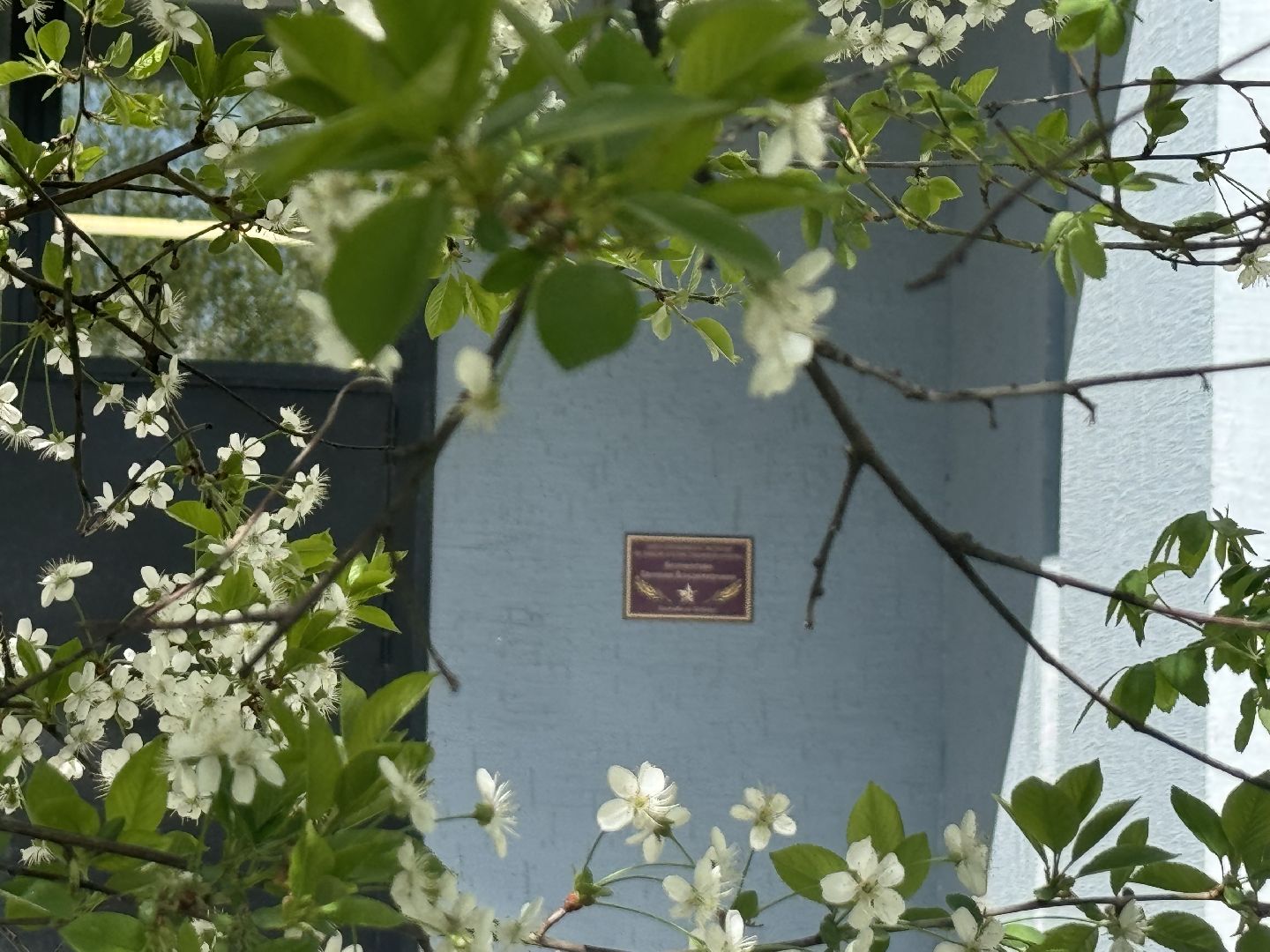 именные таблички, ленинский городской округ, ветераны вов,  80 лет победы,