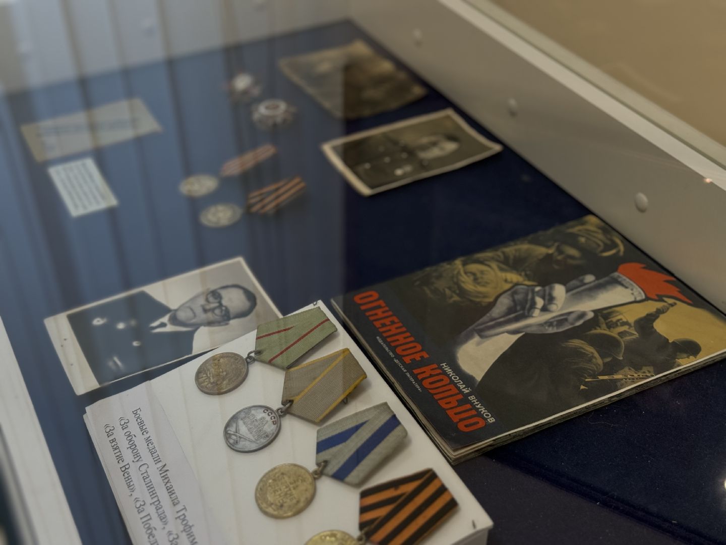 выставка картин , сергей андрияки , художники россии, ленинский городской округ,