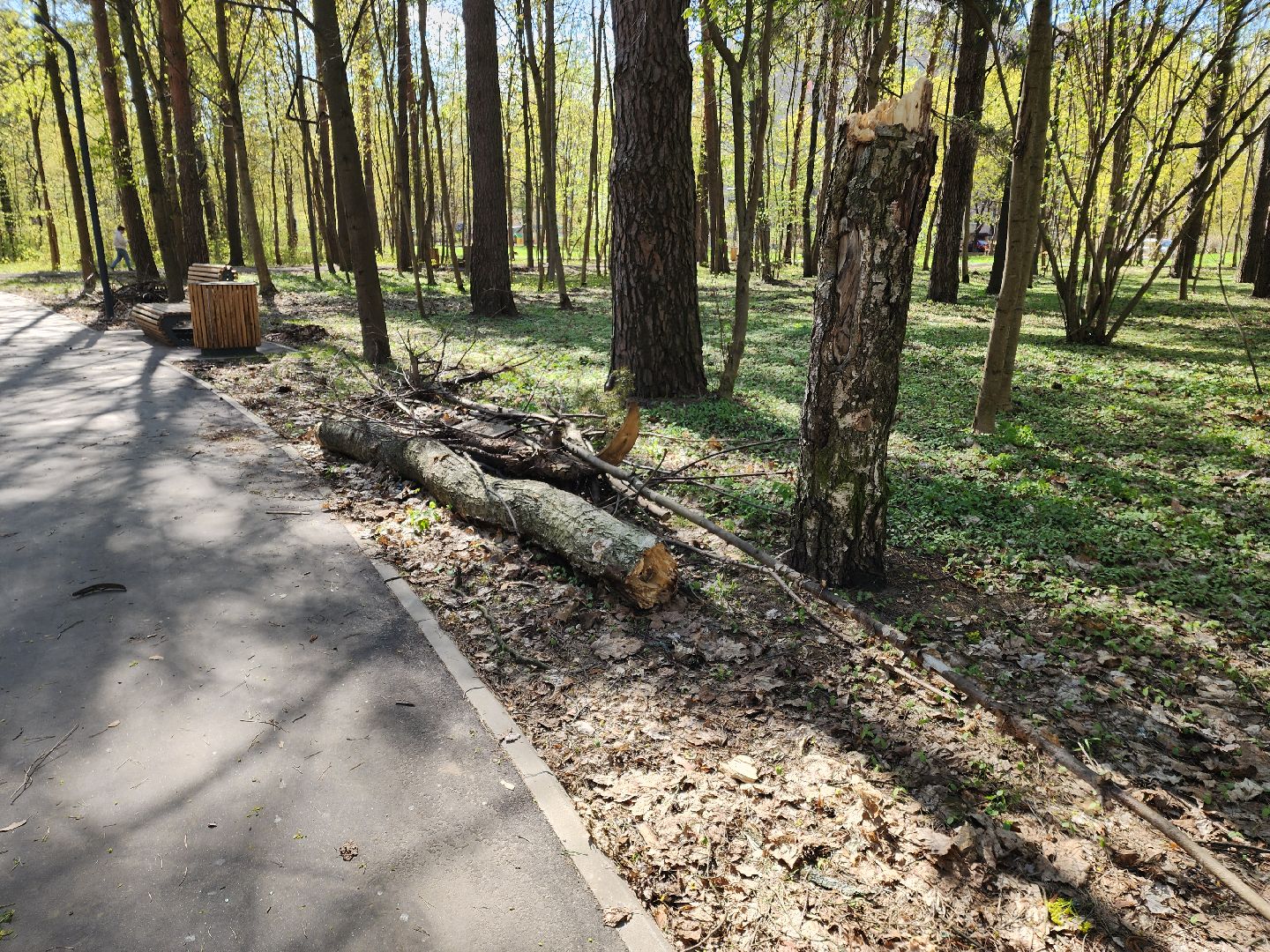 Черноголовка, Жкх, Субботник,