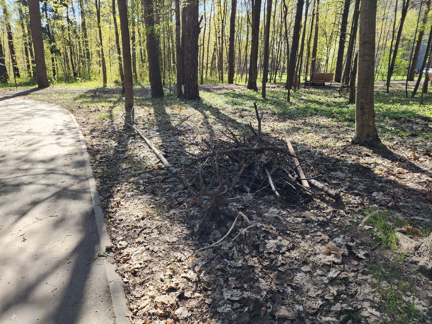 Черноголовка, Жкх, Субботник,