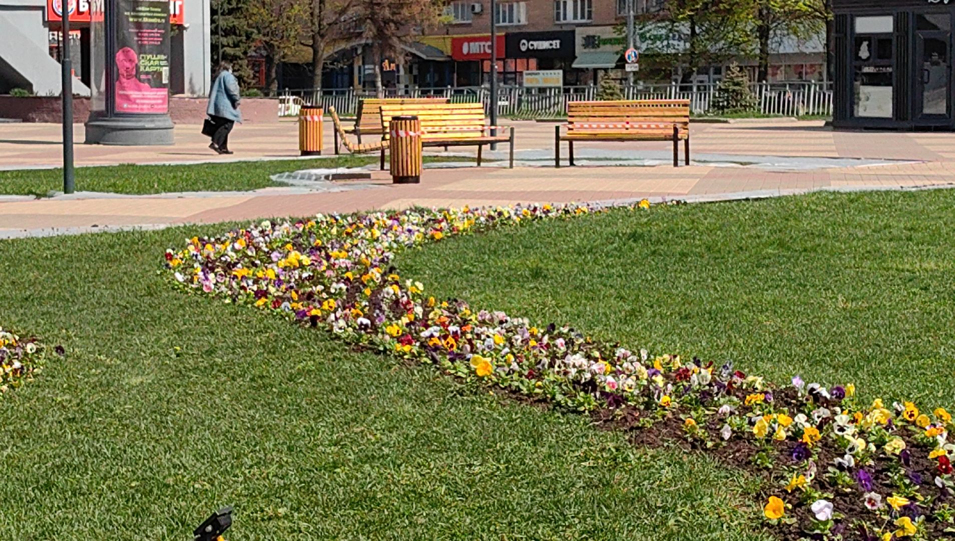 газон, виола, цветы,  цветник, благоустройство,