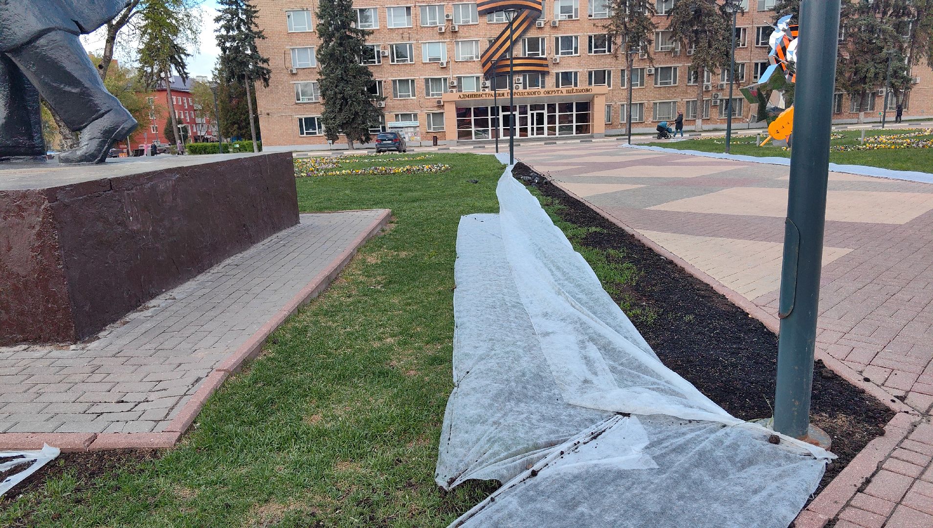 газон, виола, цветы,  цветник, благоустройство,