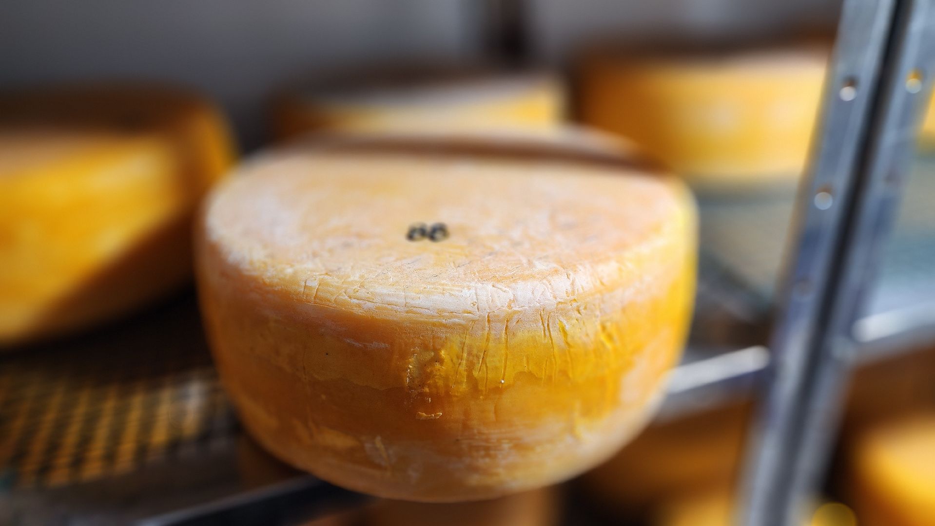 руза, эко-туризм, эко-ферма, марьино, рузский округ, предприниматели подмосковья, кфх,