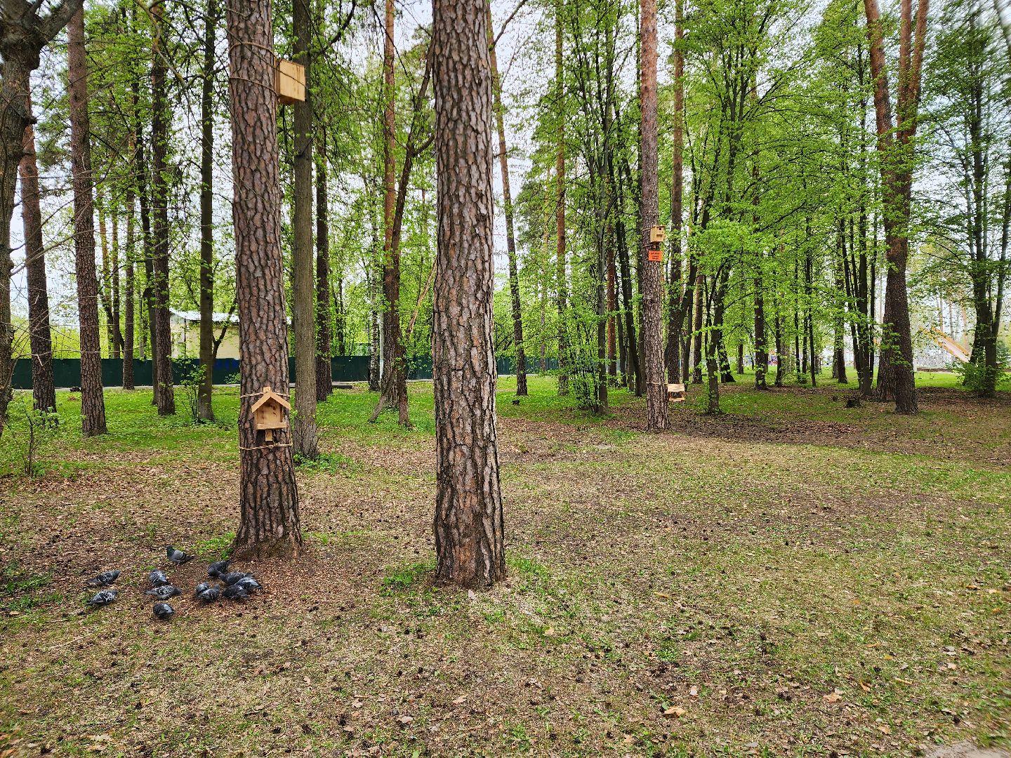 шатурский парк, шатура, подготовка к весенне-летнему сезону, благоустройство города,