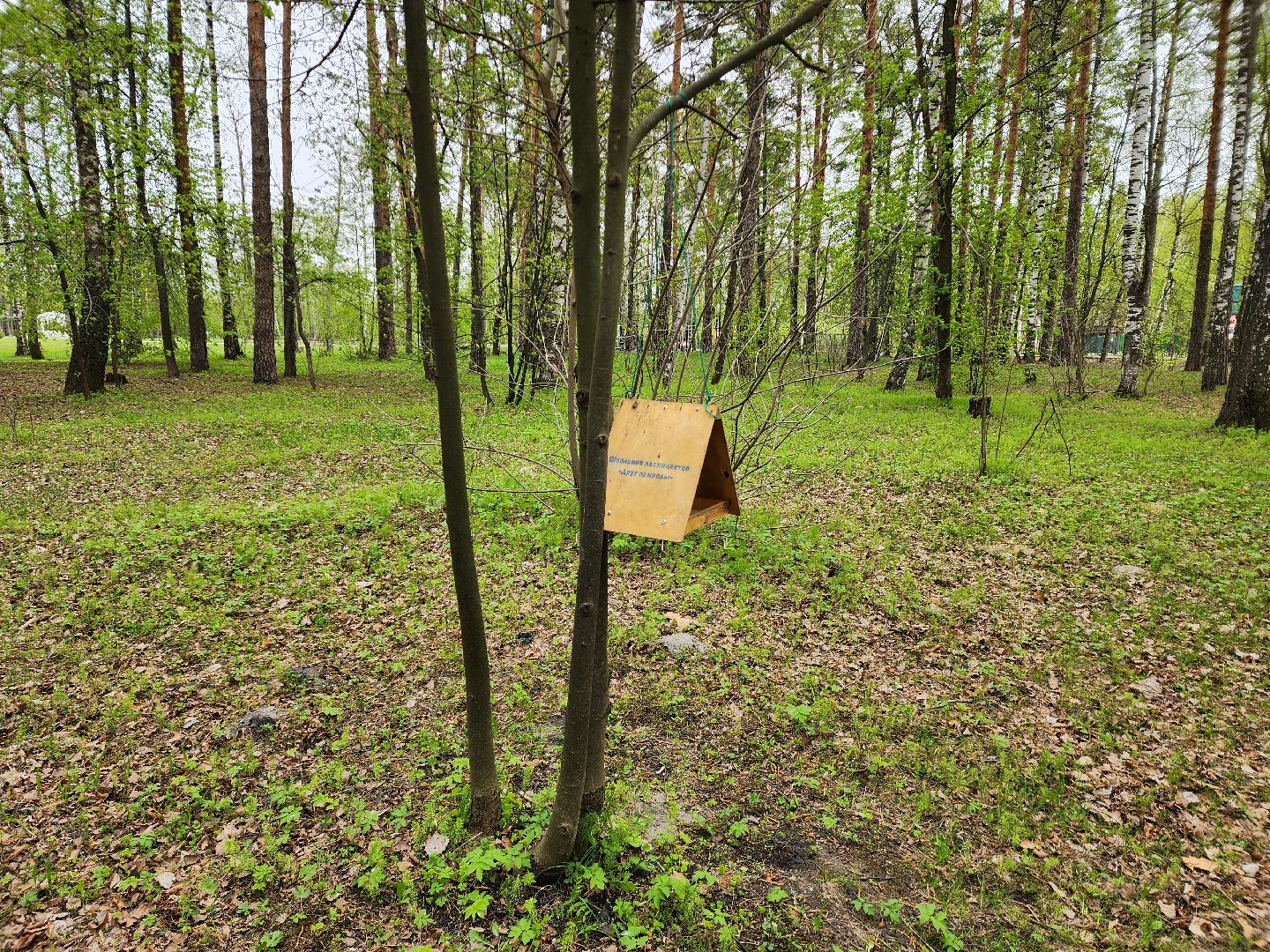 шатурский парк, шатура, подготовка к весенне-летнему сезону, благоустройство города,