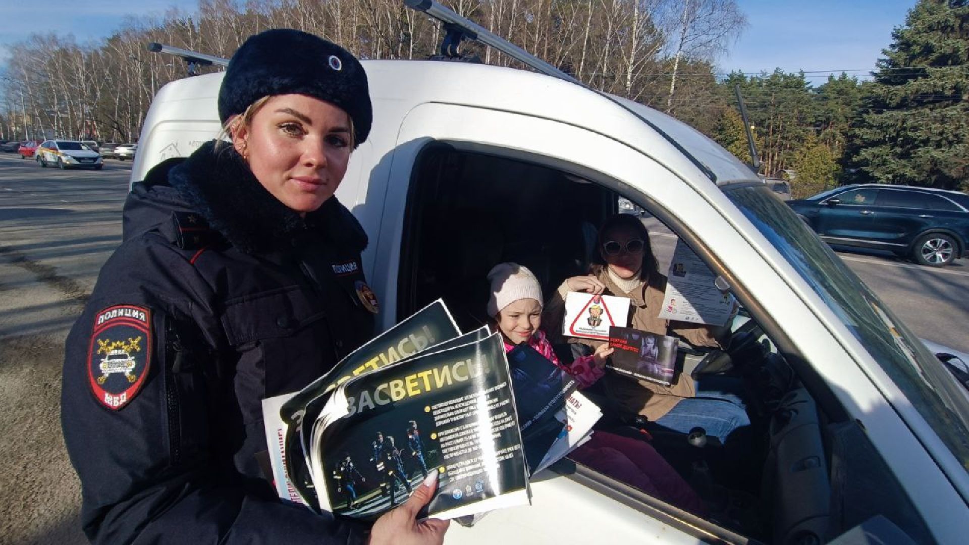 Госавтоинспеция, Домодедово, безопасность