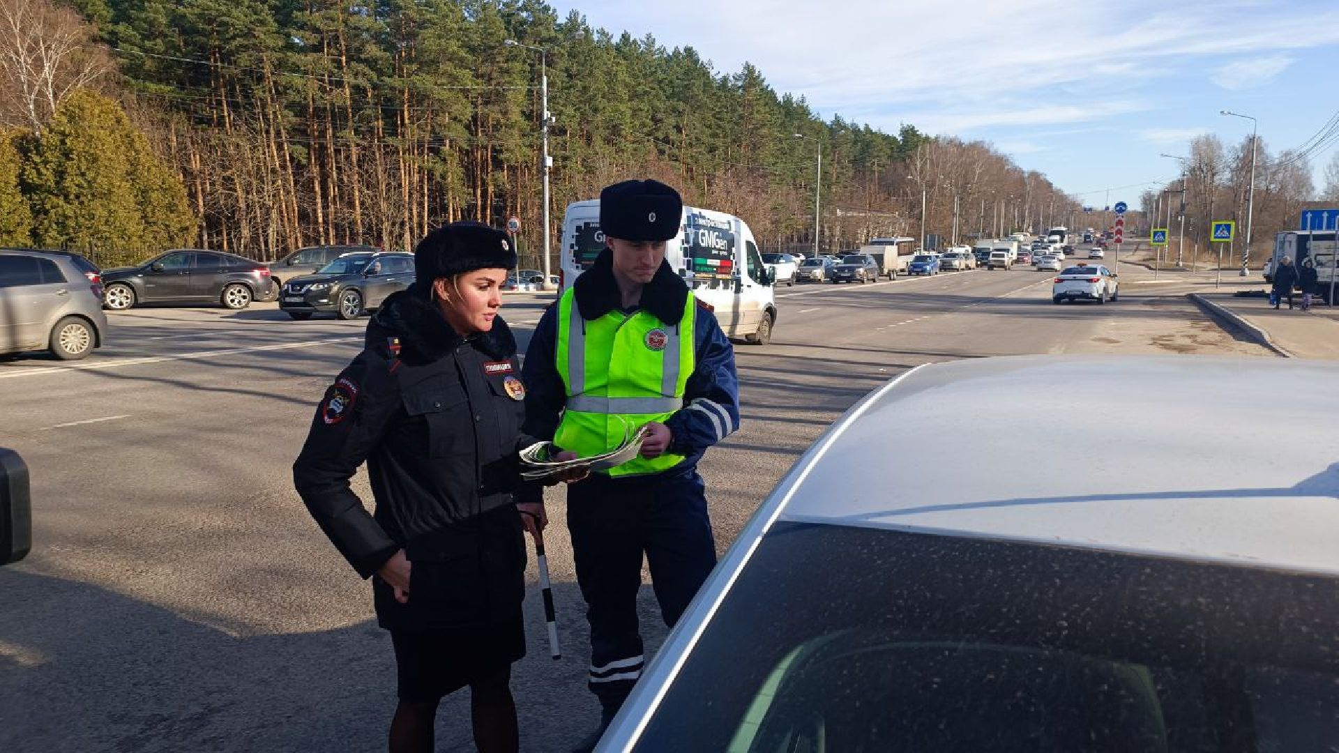 Госавтоинспеция, Домодедово, безопасность