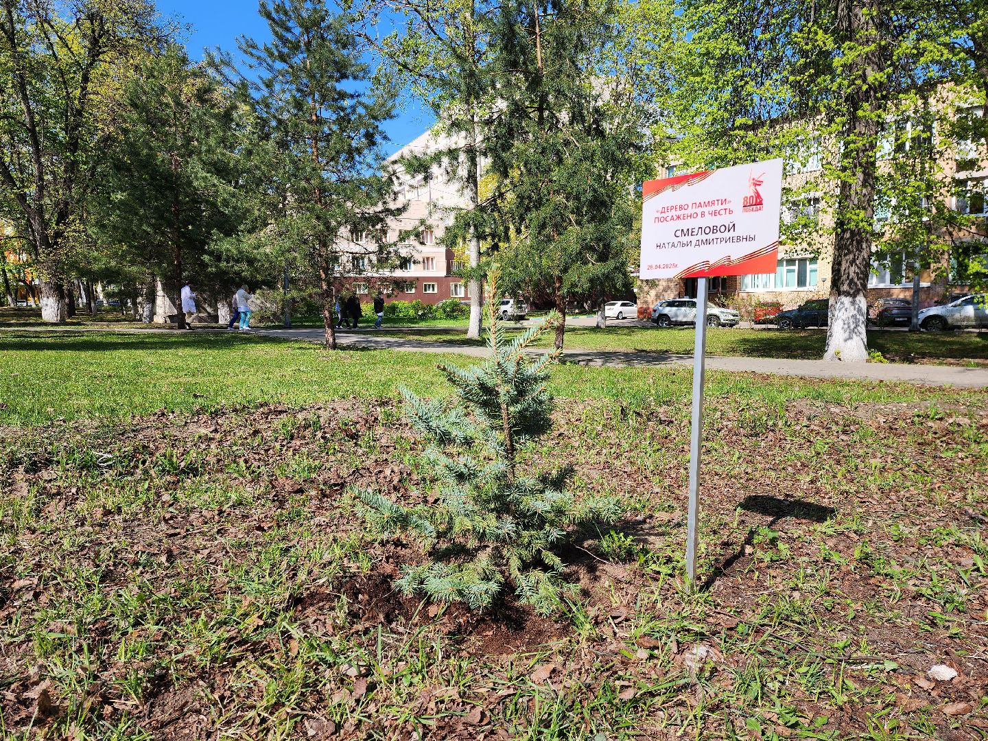 раменское, общество, аллея славы раменской больницы,