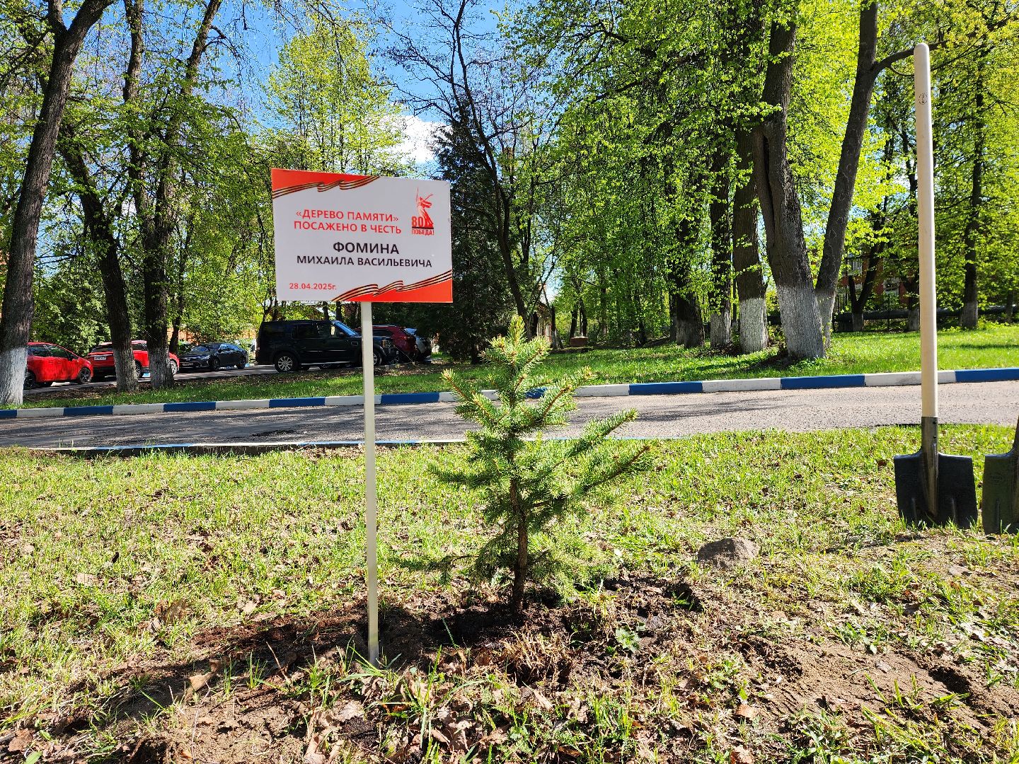 раменское, общество, аллея славы раменской больницы,