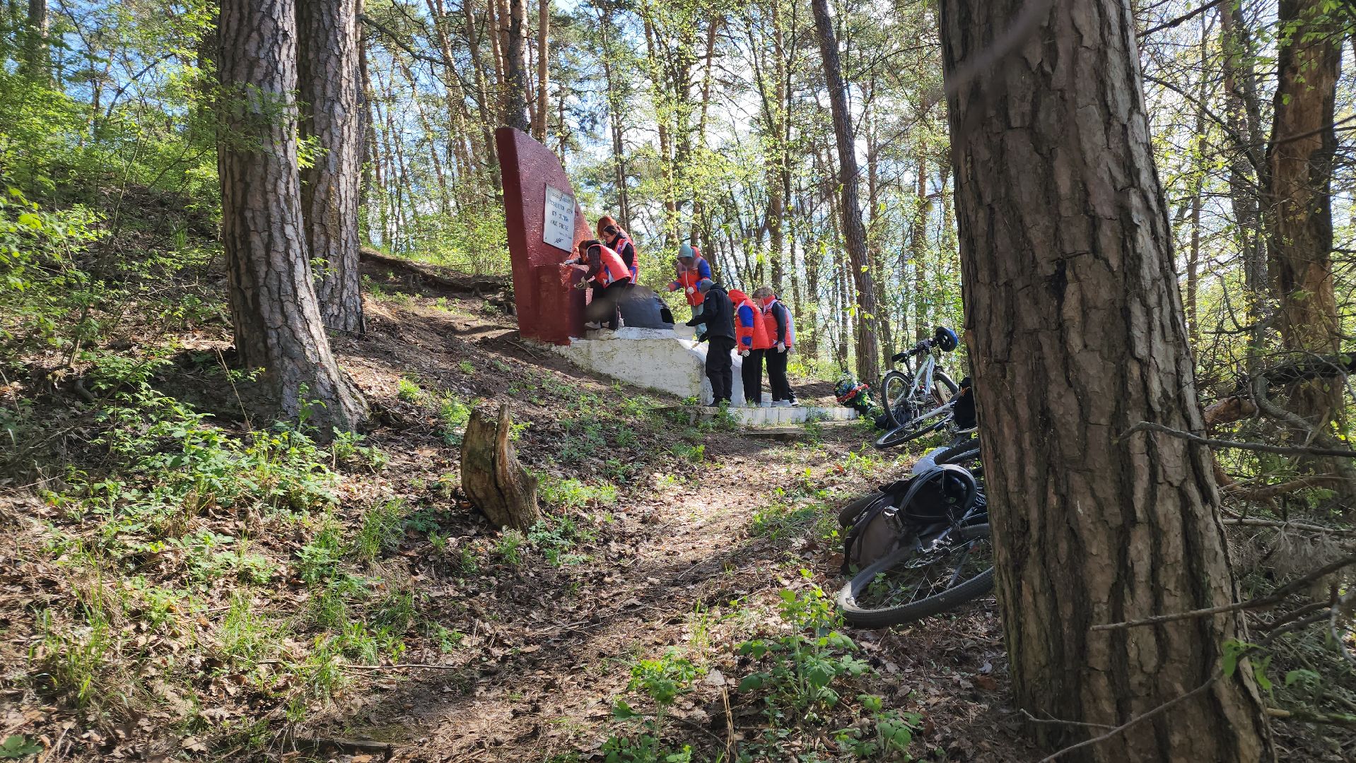 ступино, день победы, волонтеры, памятники вов,