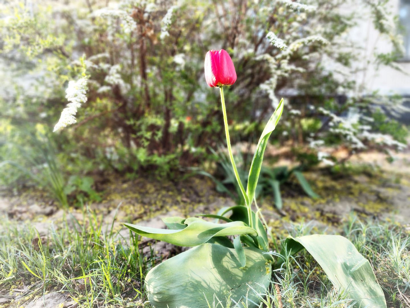 пущино, серпухов, благоустройство, месячник благоустройства,